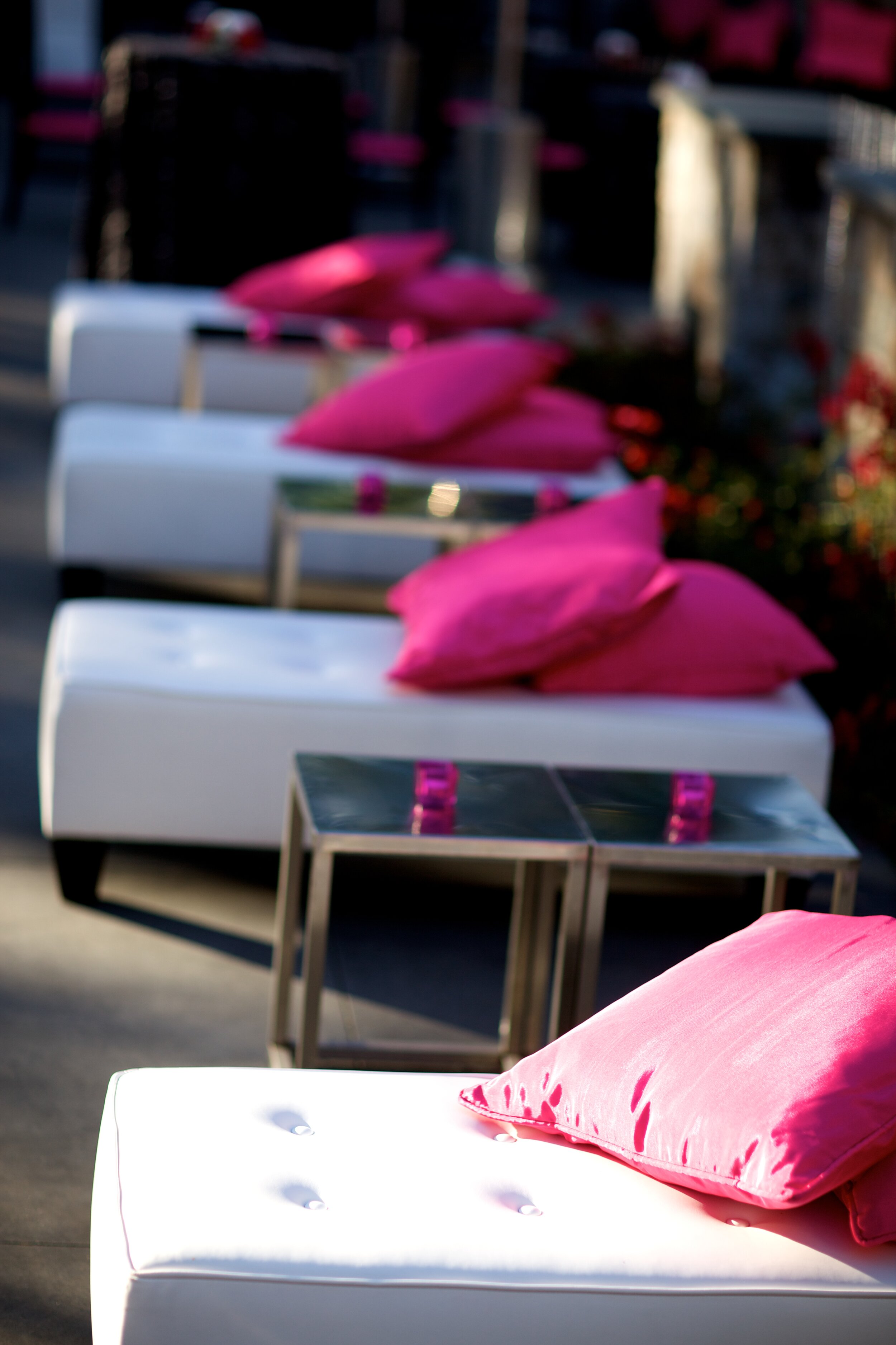 lounge pink pillows.jpg
