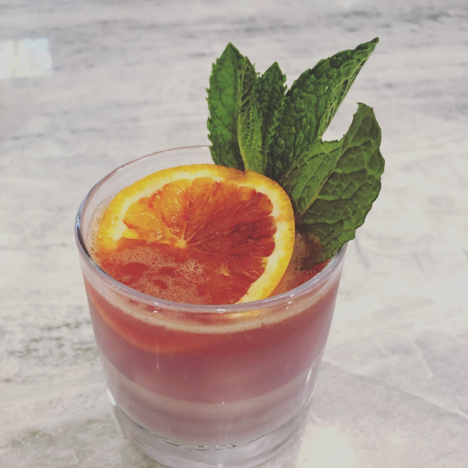 citrus mint cocktail.jpg