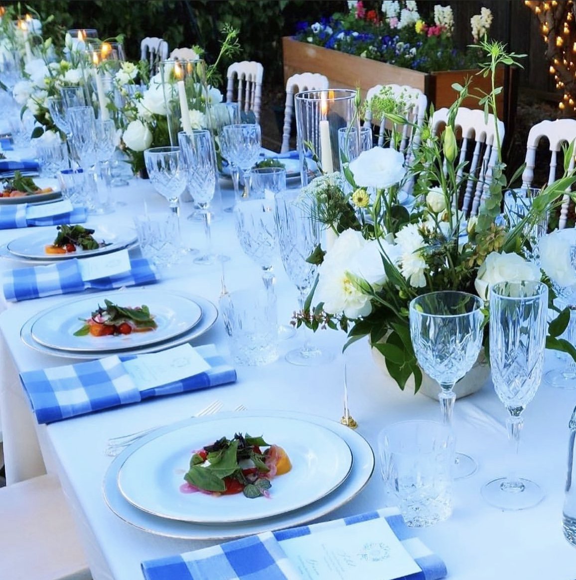 plated salads blue table.jpg