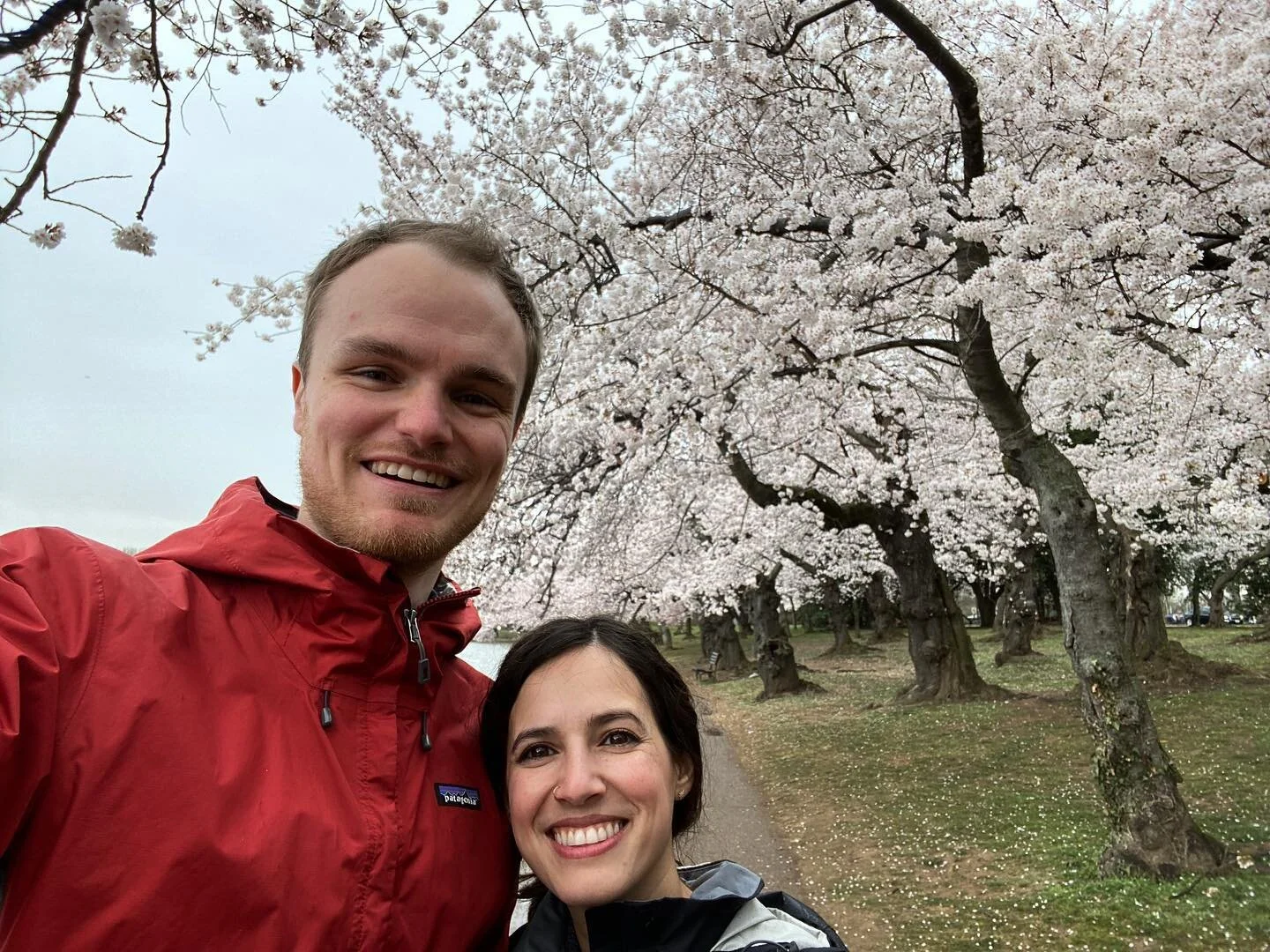 Candidly, it&rsquo;s been a rough go with life recently. But so thankful to make a new set of traditions around seeing the cherry blossoms. Shout out to the wind and rain for keeping the tourists away!