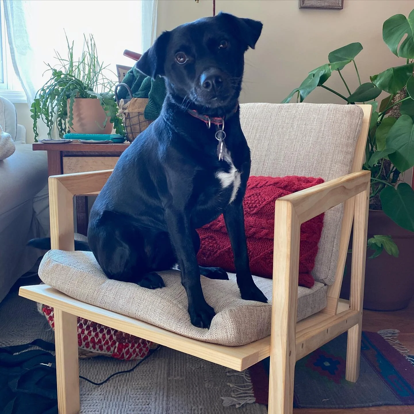 Forgot to add these box cushions to my January make photo dump! Chair made by @austinveith !