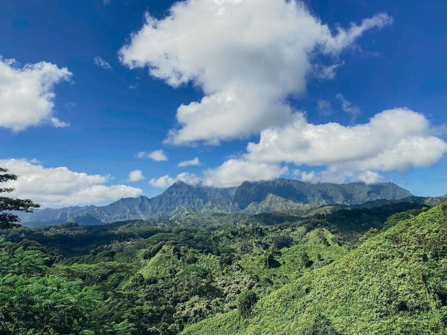 Day 3: Did some ridge hikes and ocean stuff (and was really bad at taking photos today).

1️⃣ and 2️⃣ : Views from the Kuilau Ridge Trail
3️⃣ and 4️⃣ : Views from the Queen&rsquo;s Bath
#kauai