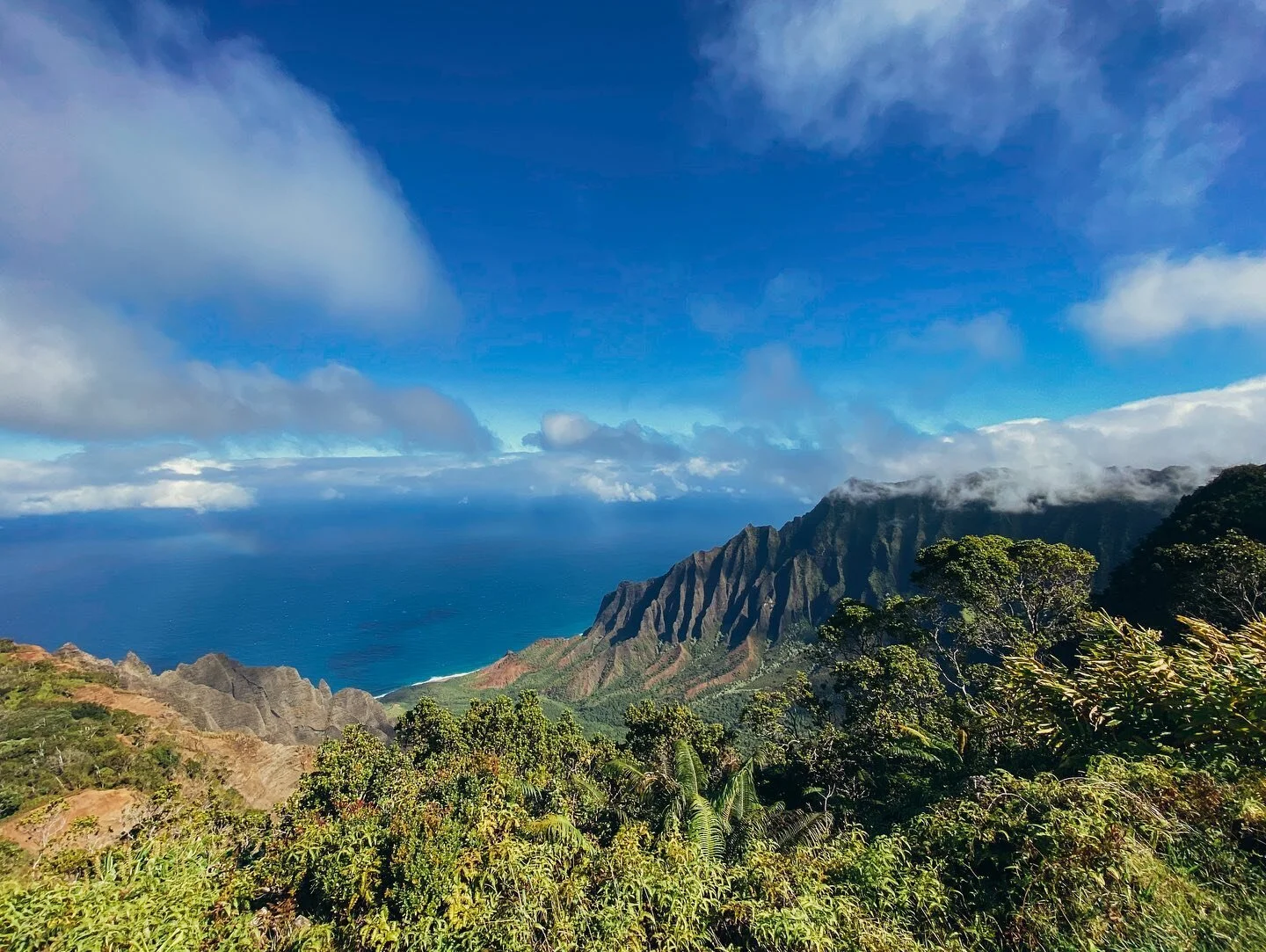 Day 2: More hiking, this time in Koke&rsquo;e and Waimea State Parks. Both trails were arguably worth it, even for the insane mud.
1️⃣, 2️⃣, 3️⃣, and 4️⃣ : Views off the Pihea Trail, including a overlook of Kalalau Valley
5️⃣ : Waimea Canyon
6️⃣ : Wa