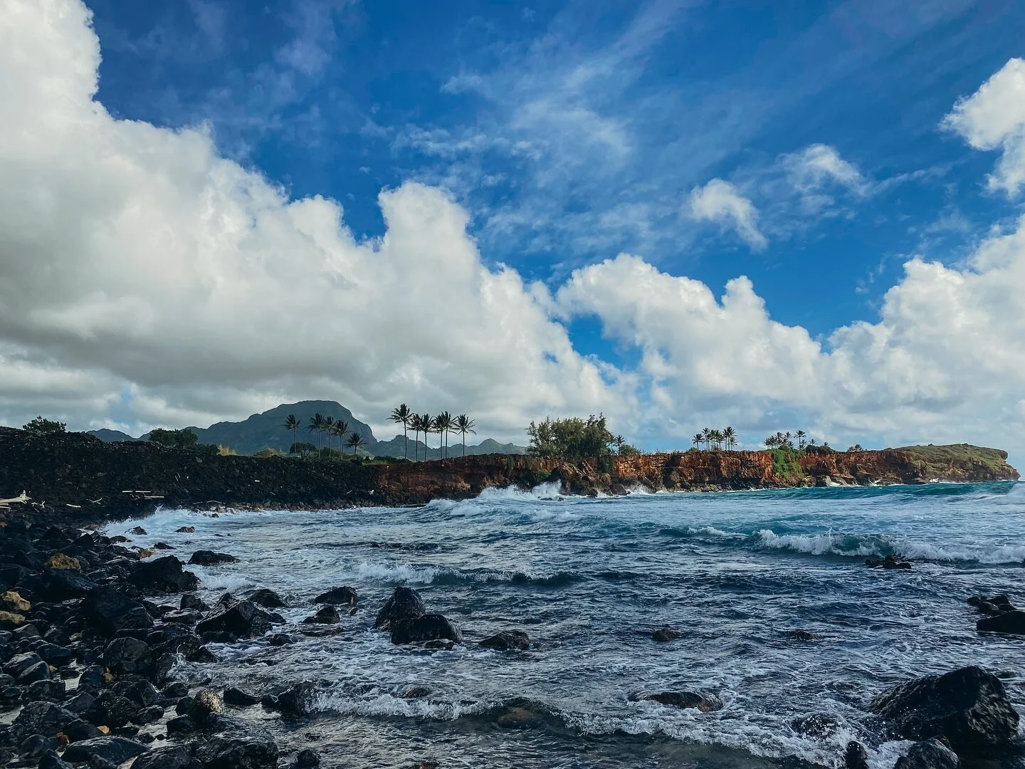 Day 1: Jet lagged as heck after a long travel day, but managed to get a 6mi hike in and see a crazy cool cave that gives insight into how the first Hawai&rsquo;ians lived!

1️⃣ and 2️⃣ : Views from Maha&rsquo;ulepu Heritage Trail
3️⃣ : Cute boy sight