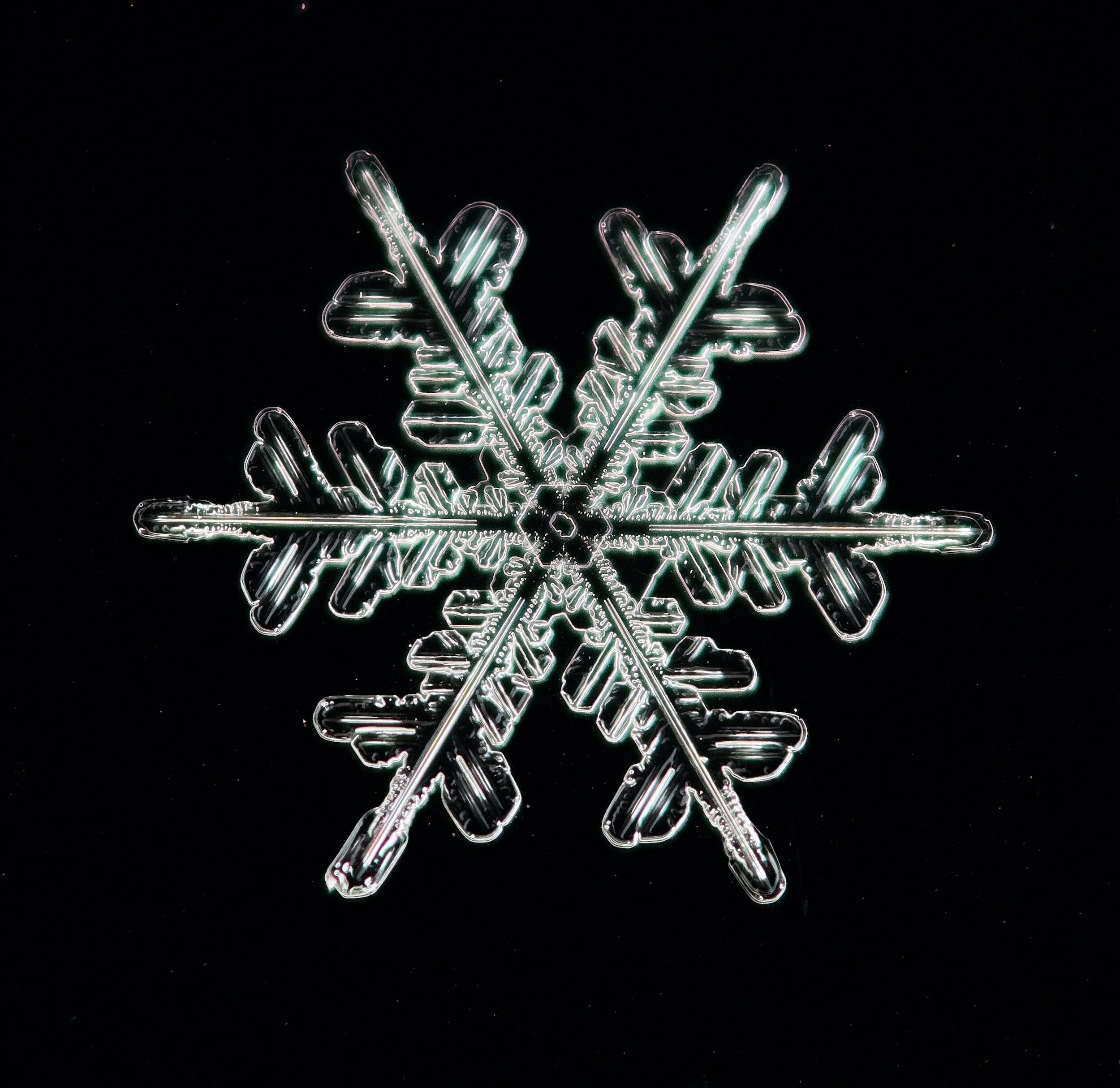 Regular Meeting - Winter Solstice