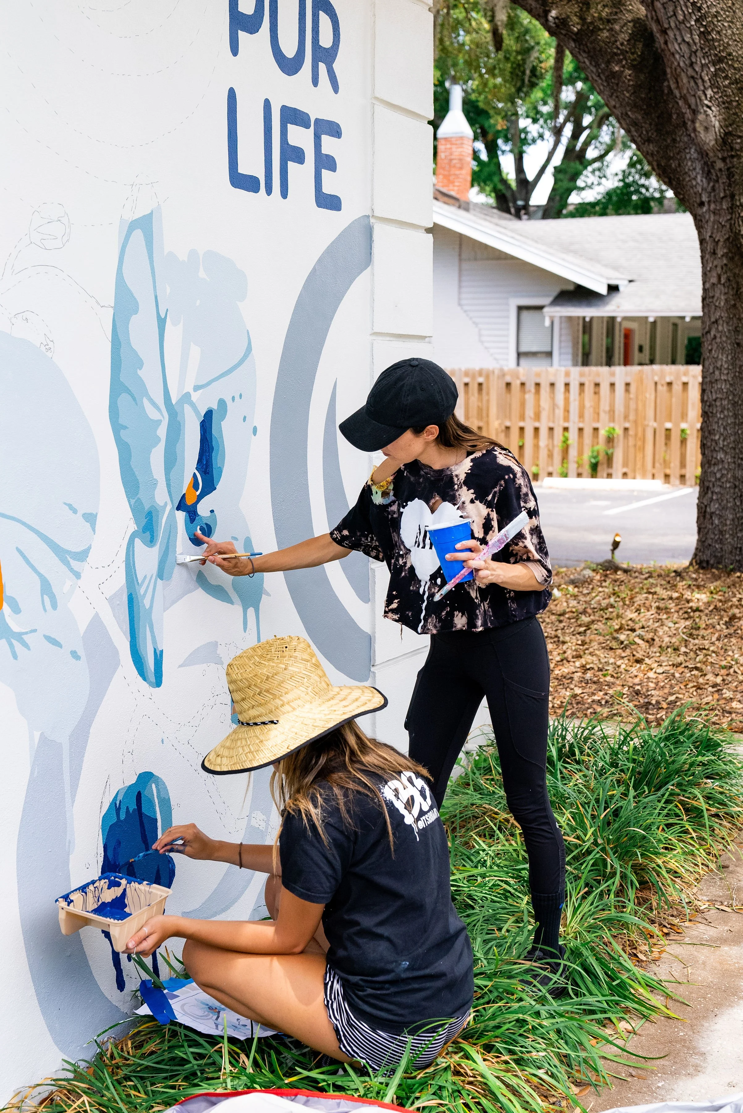 1 Hour Mentorship Call With BB