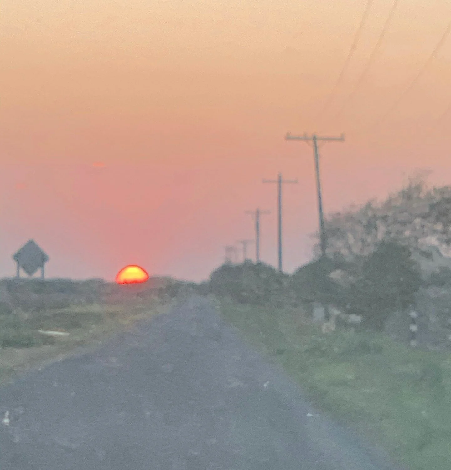 South Texas Sun