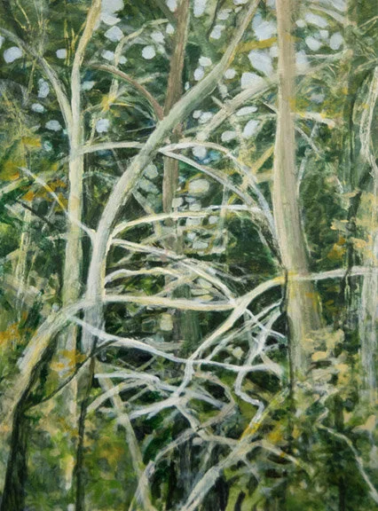 Deep Woods 