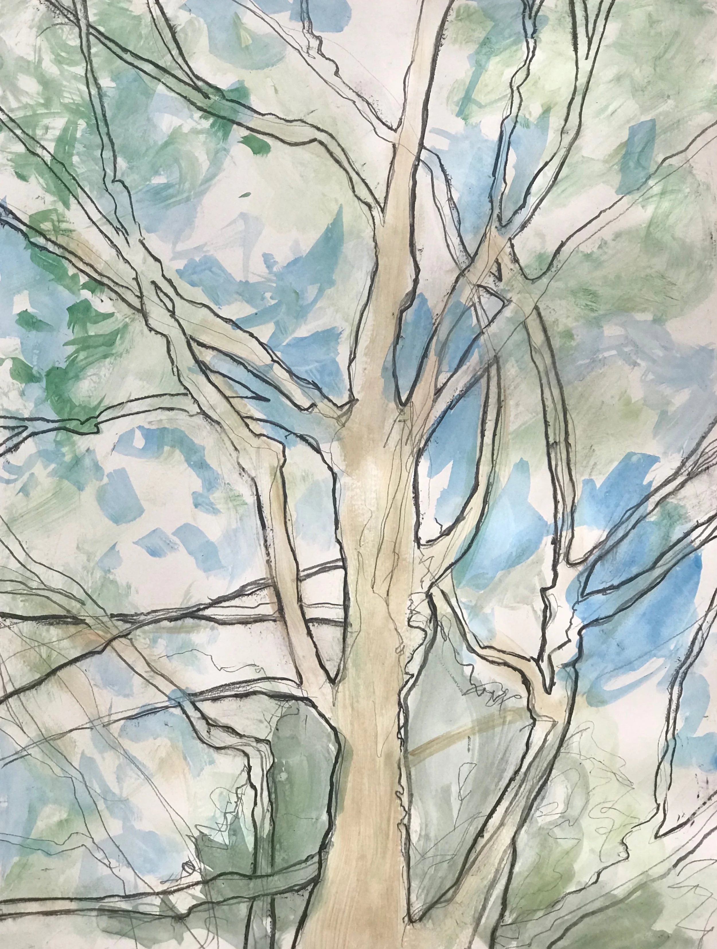 Tree Study Spring 