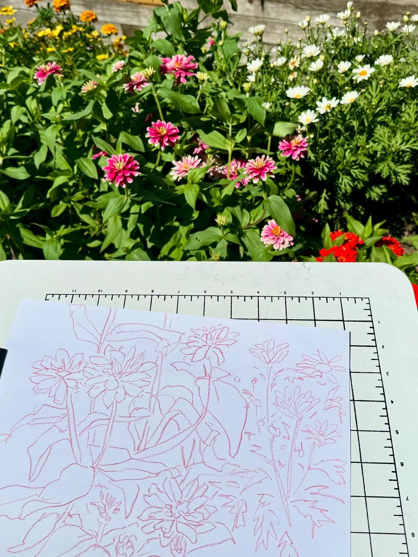 Good day to get outside &amp; draw!