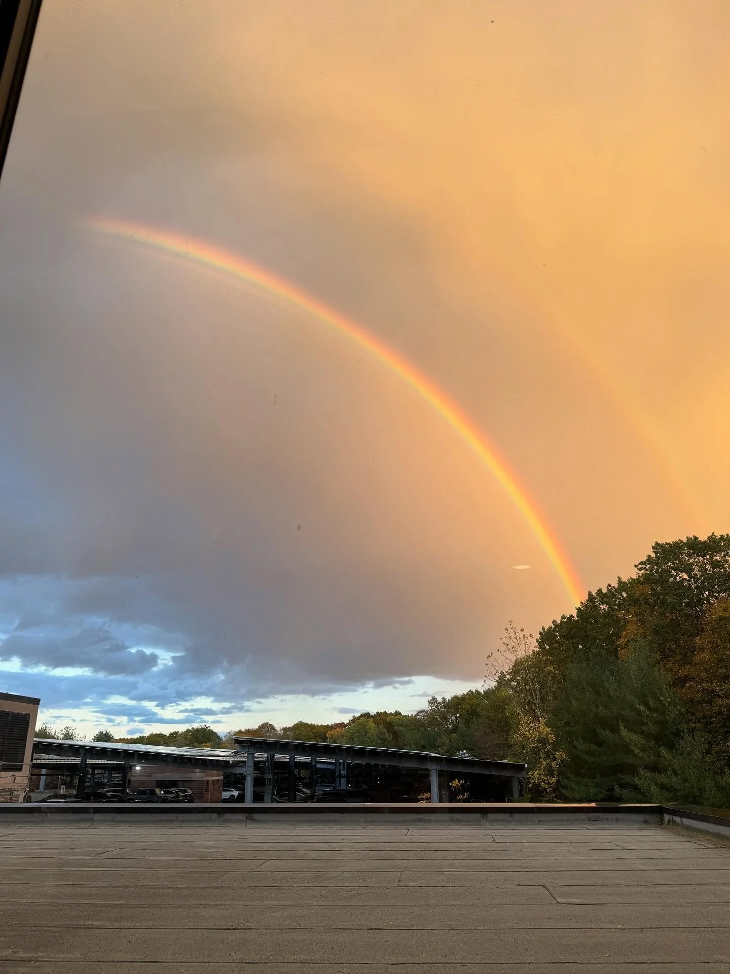 Look for beauty and you will find it, even in the darkest days.