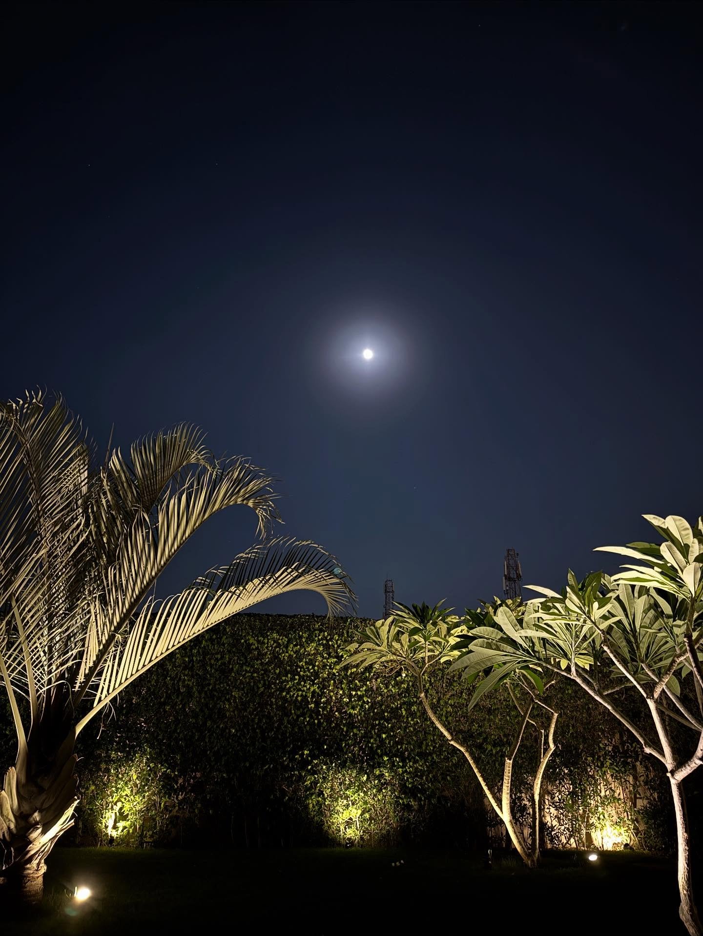 The adventure begins! #fullmoon cairo