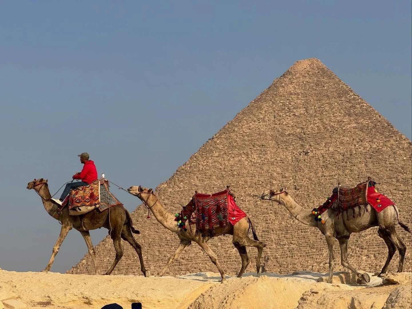 Egypt 2025 on the books! So much to sit with and process. It was a magical journey with a very special group who started as strangers and ended as dear friends. &lrm;شكراً &mdash; shokran to @patriciaawyanlehman  @vedaaustin_water and all involved is