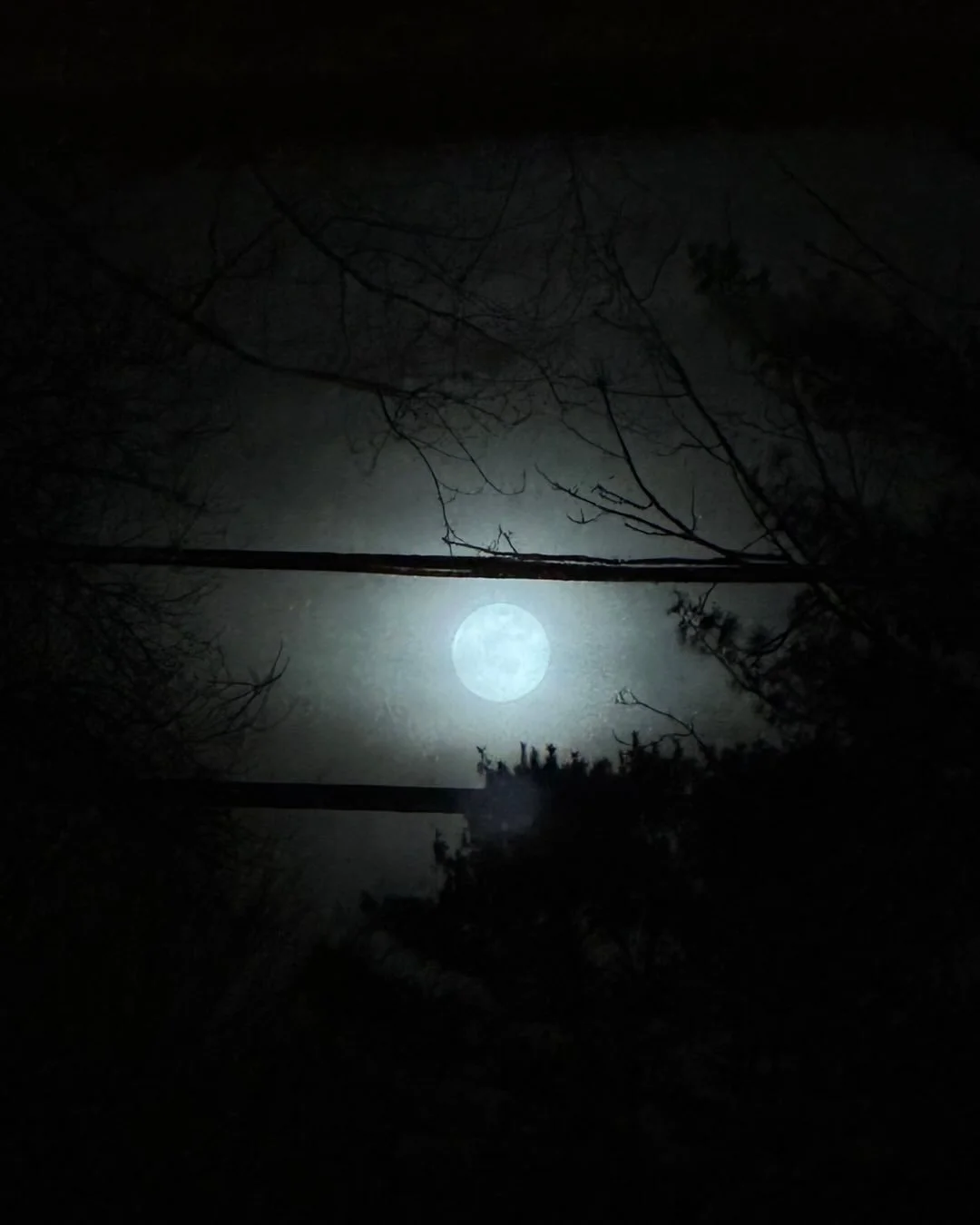 good night moon- good morning moon