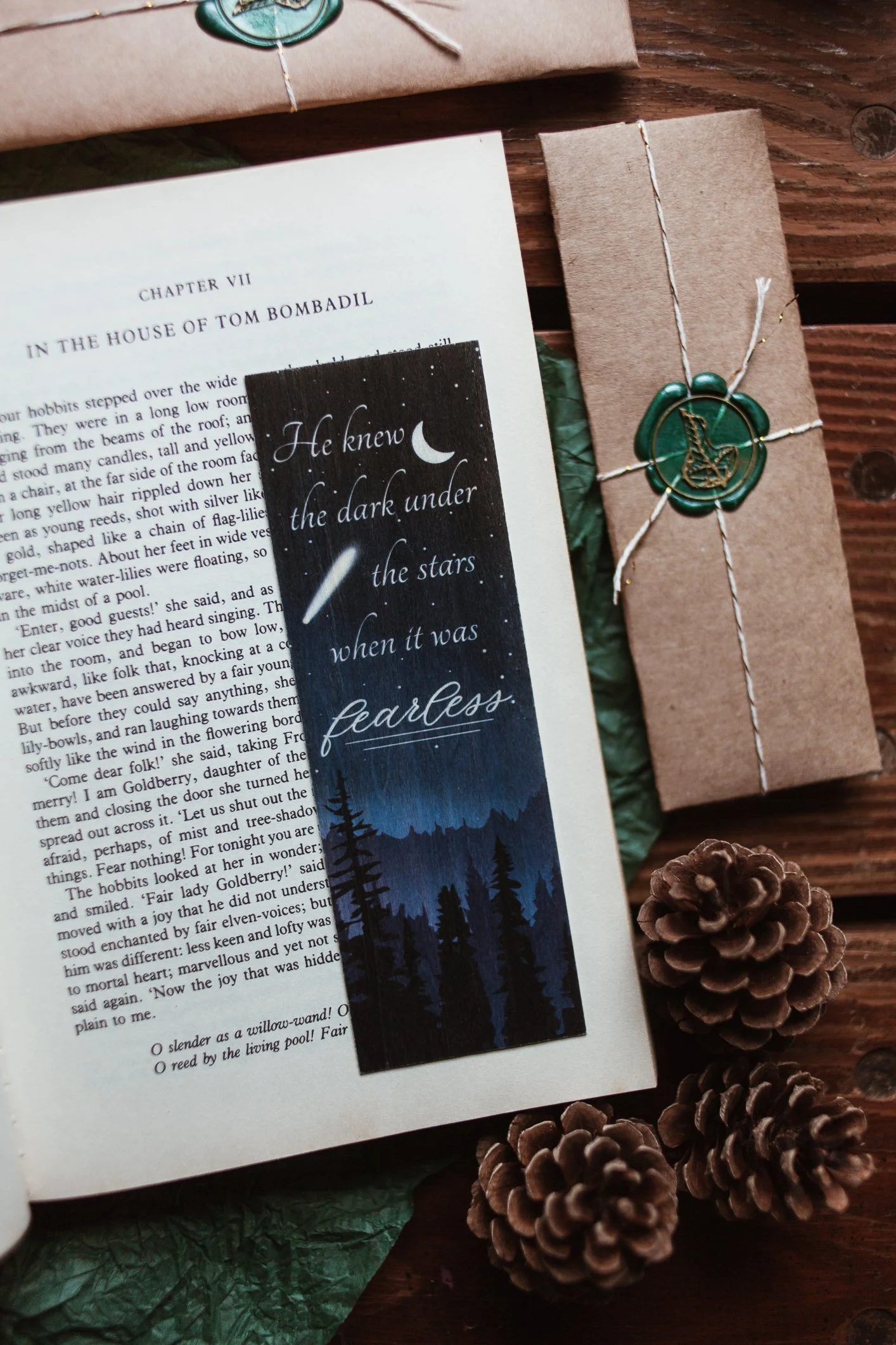 Dark Under the Stars - Wood Bookmark