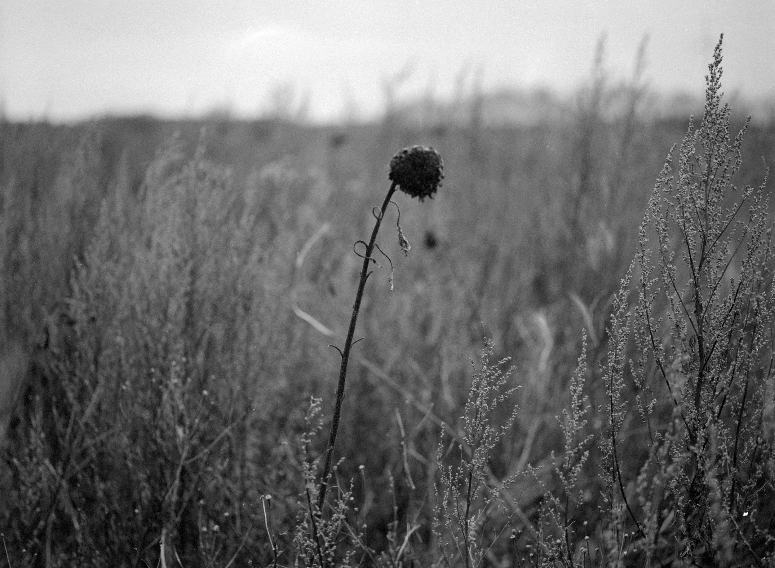 2025-December-Morshud_29 kopier.jpg