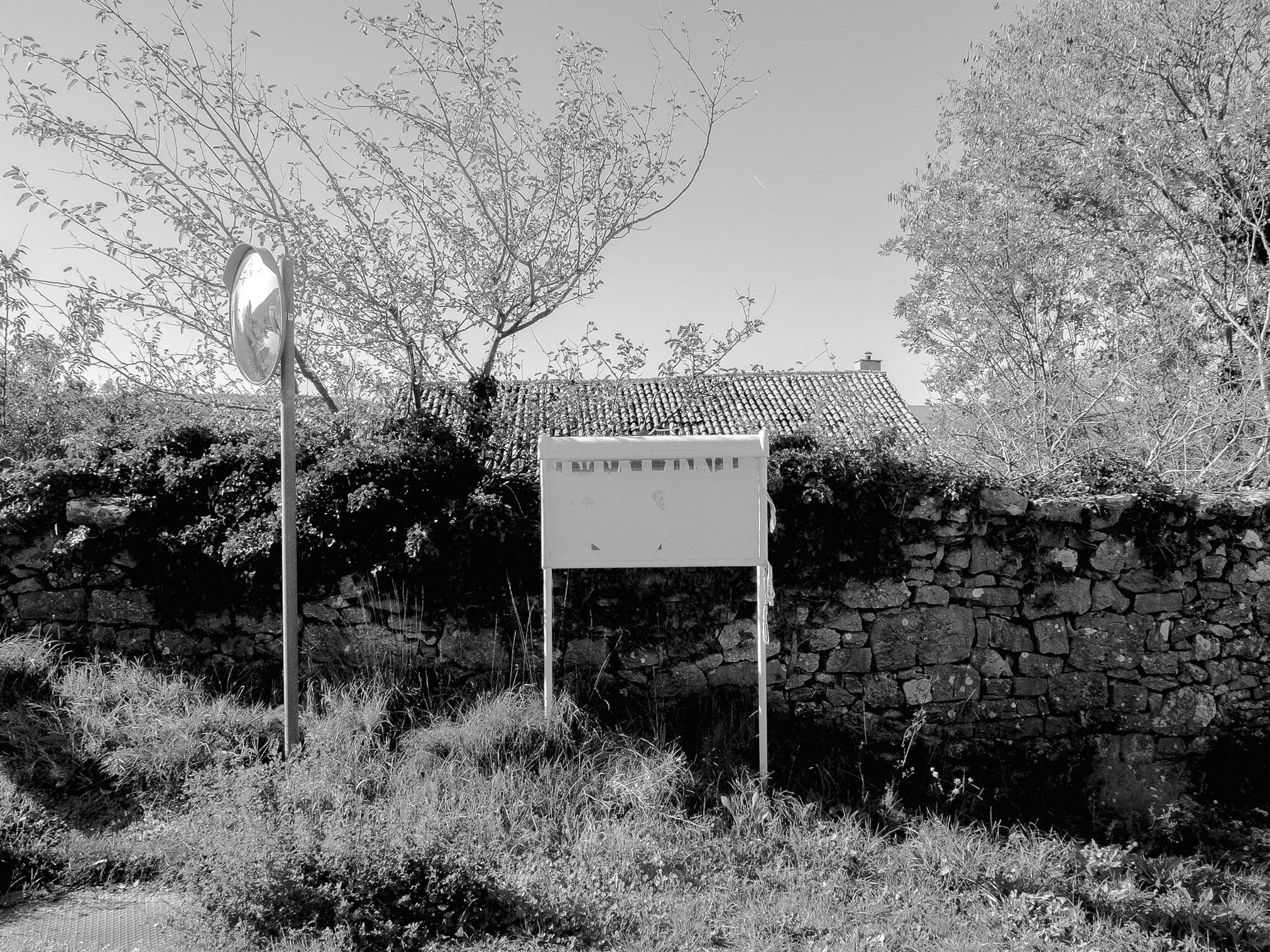 signs_6.jpg