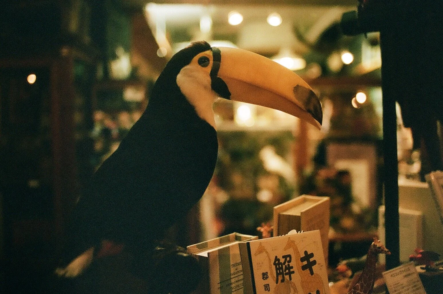 2D5B7498-979C-41F4-A456-A4BB48016E18.jpg