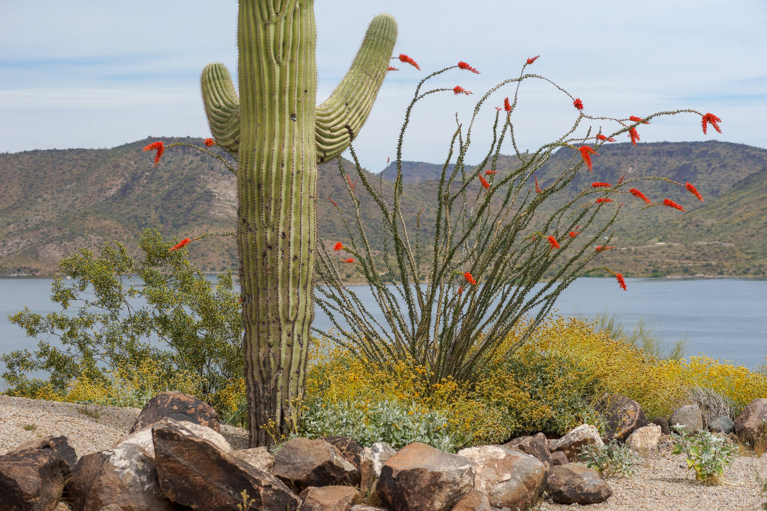 Lake Pleasant