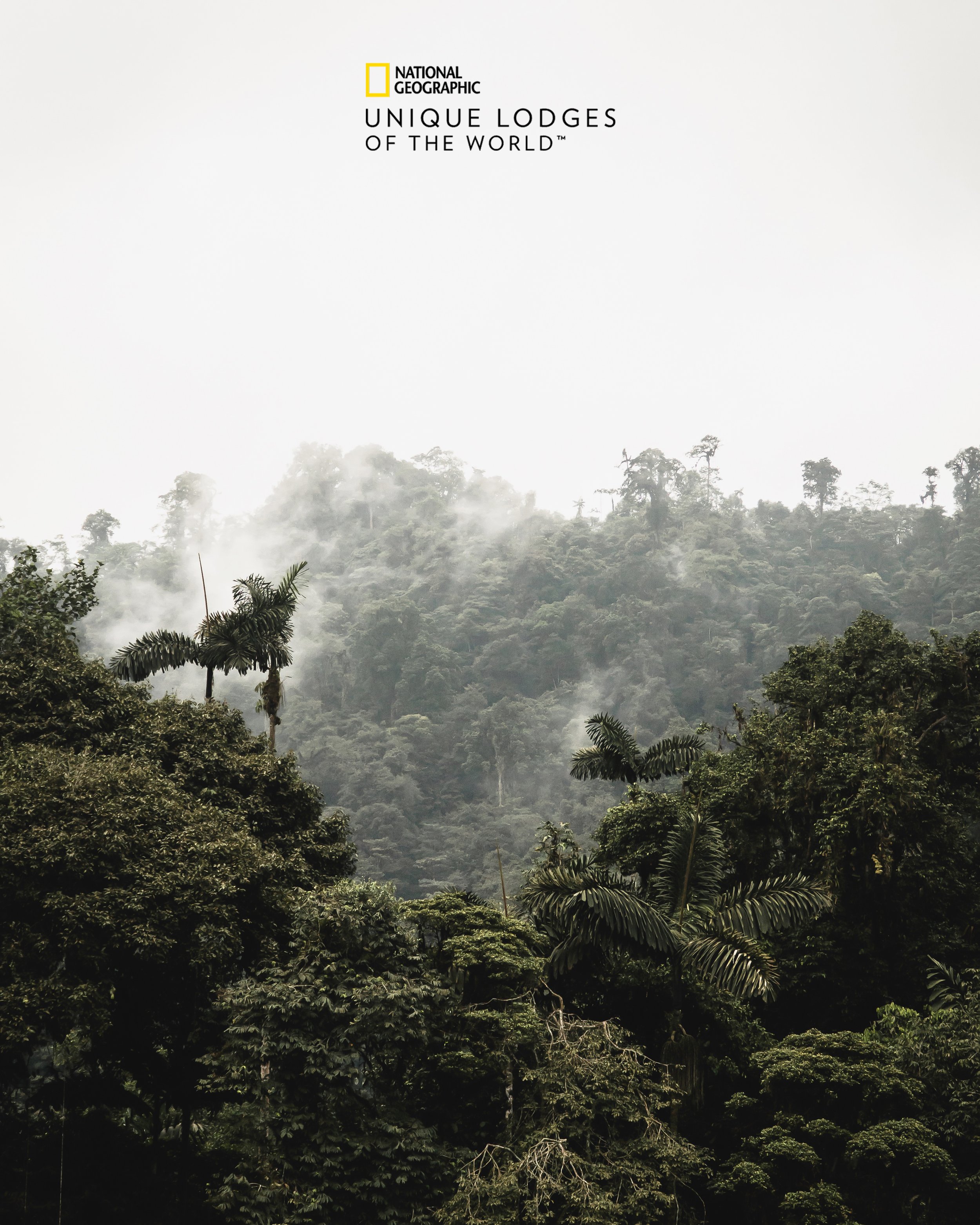 Ecuador Choco Forest copy.jpg