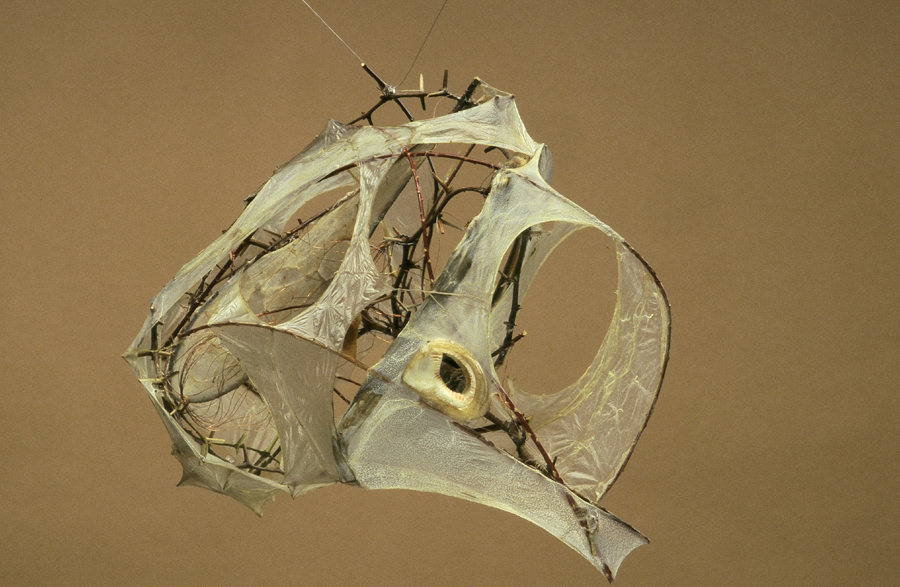 Culerbra Thorns, sausage casings, bone 10” x 12” 1996