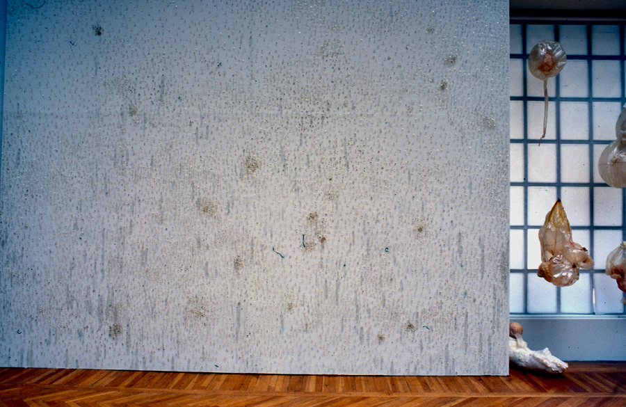 “Outer” Installation with vitamin E pills, 8’ x 25’ Oakland CA 1998