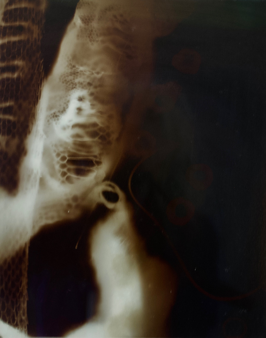 Framed 4 Gold albumen photogram, 24” x 16” 2000
