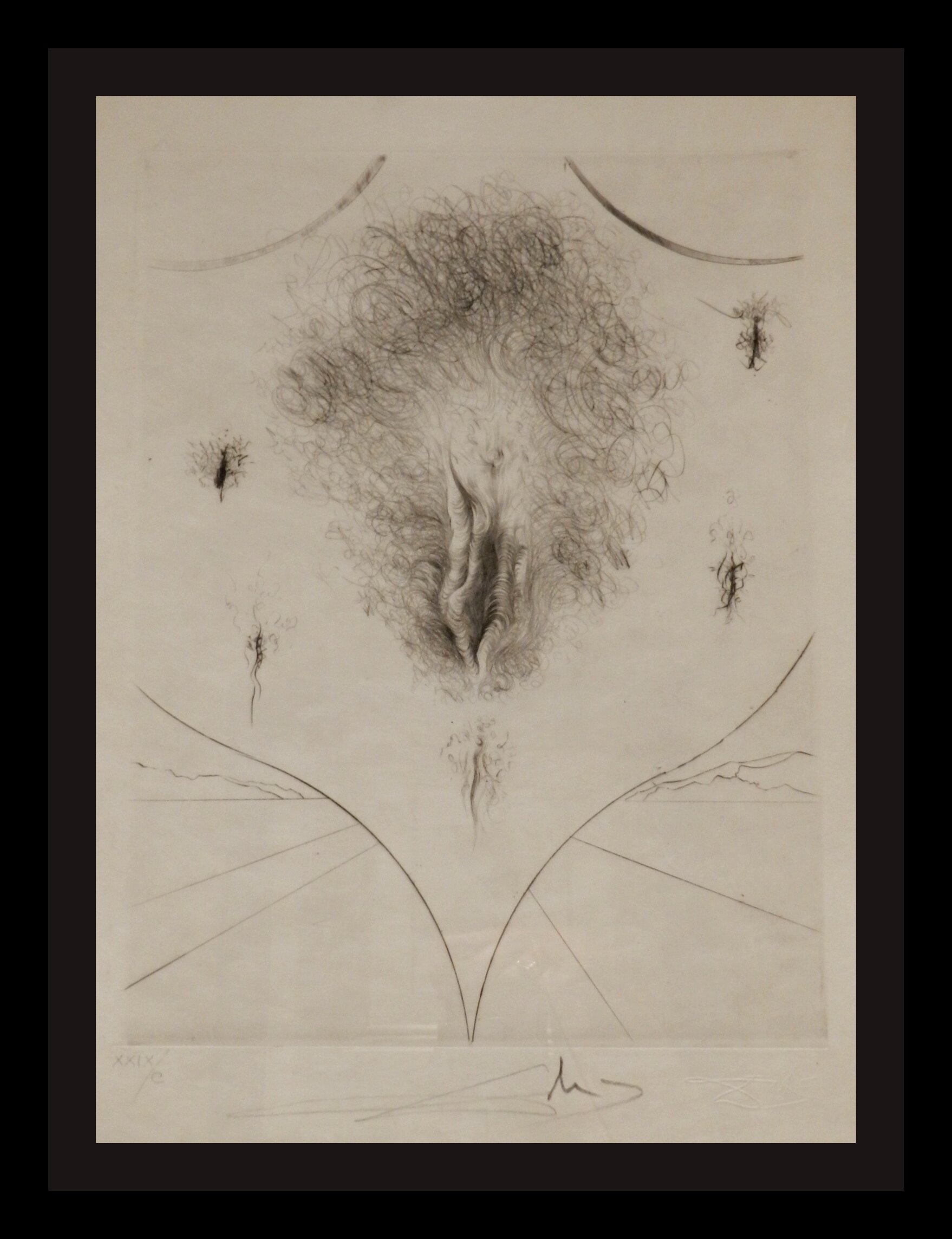 Vulva (Black)