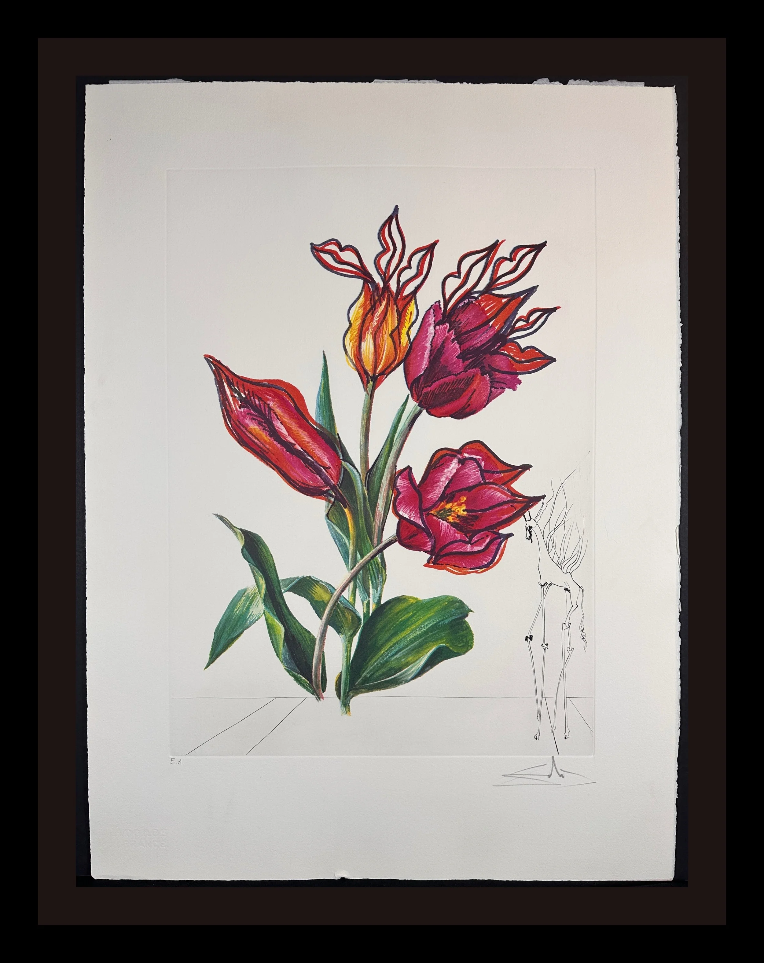 Florals Tulips Girafe en Feu