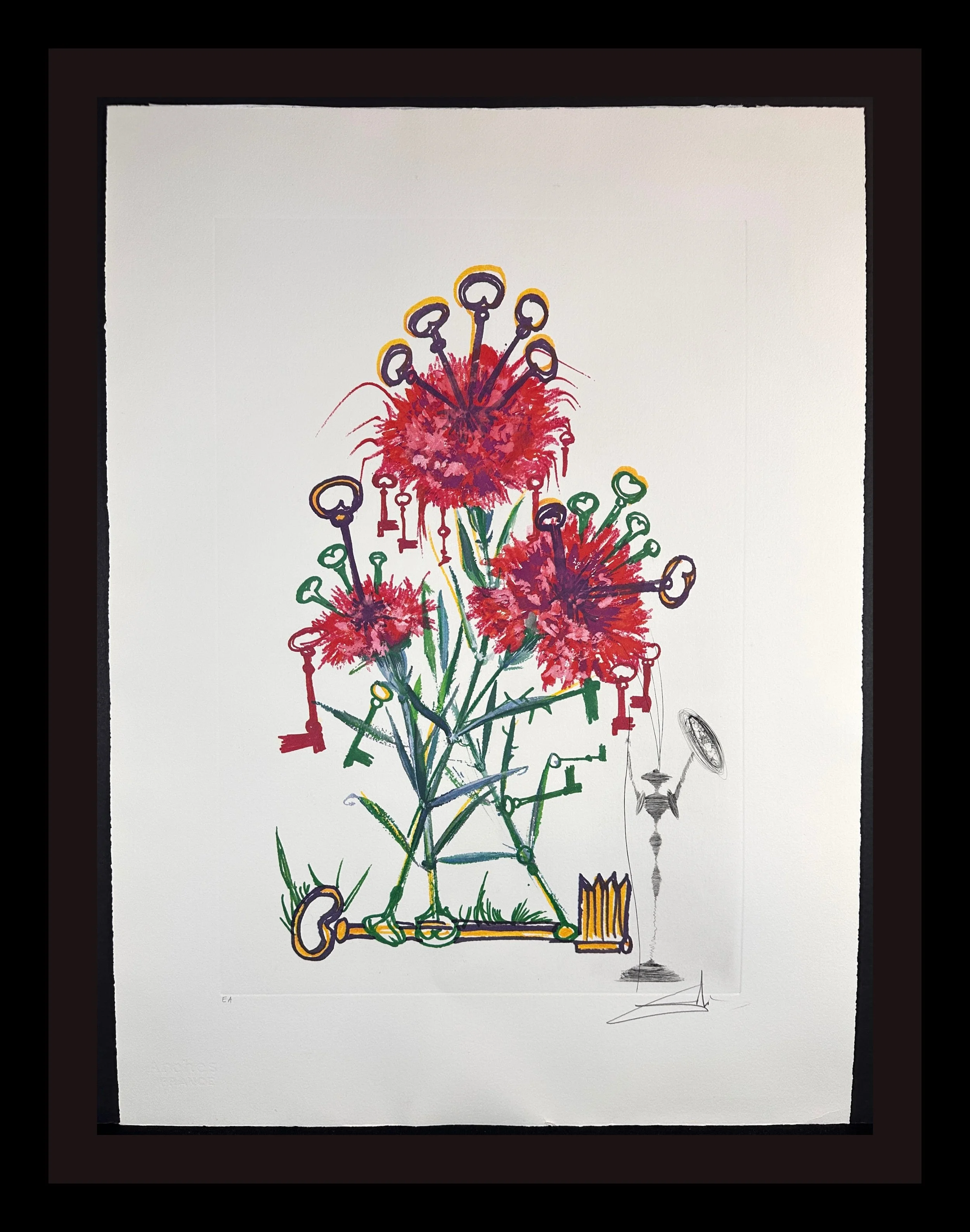 Florals Carnation Don Quixote