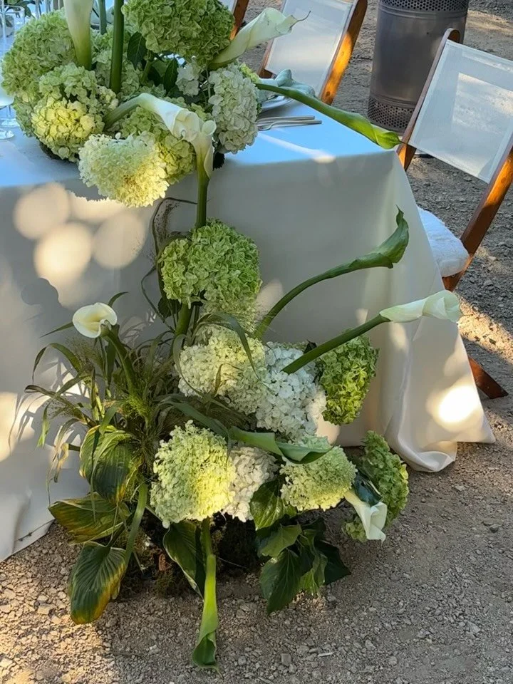 A compilation of my favorite BTS moments for K +D.

Venue @bodegalosalamos 
Photography @alibeckphoto 
Planning @onesweetdayevnt 
Cake @francesbakingco 

#bts #styling #floral #socalwedding