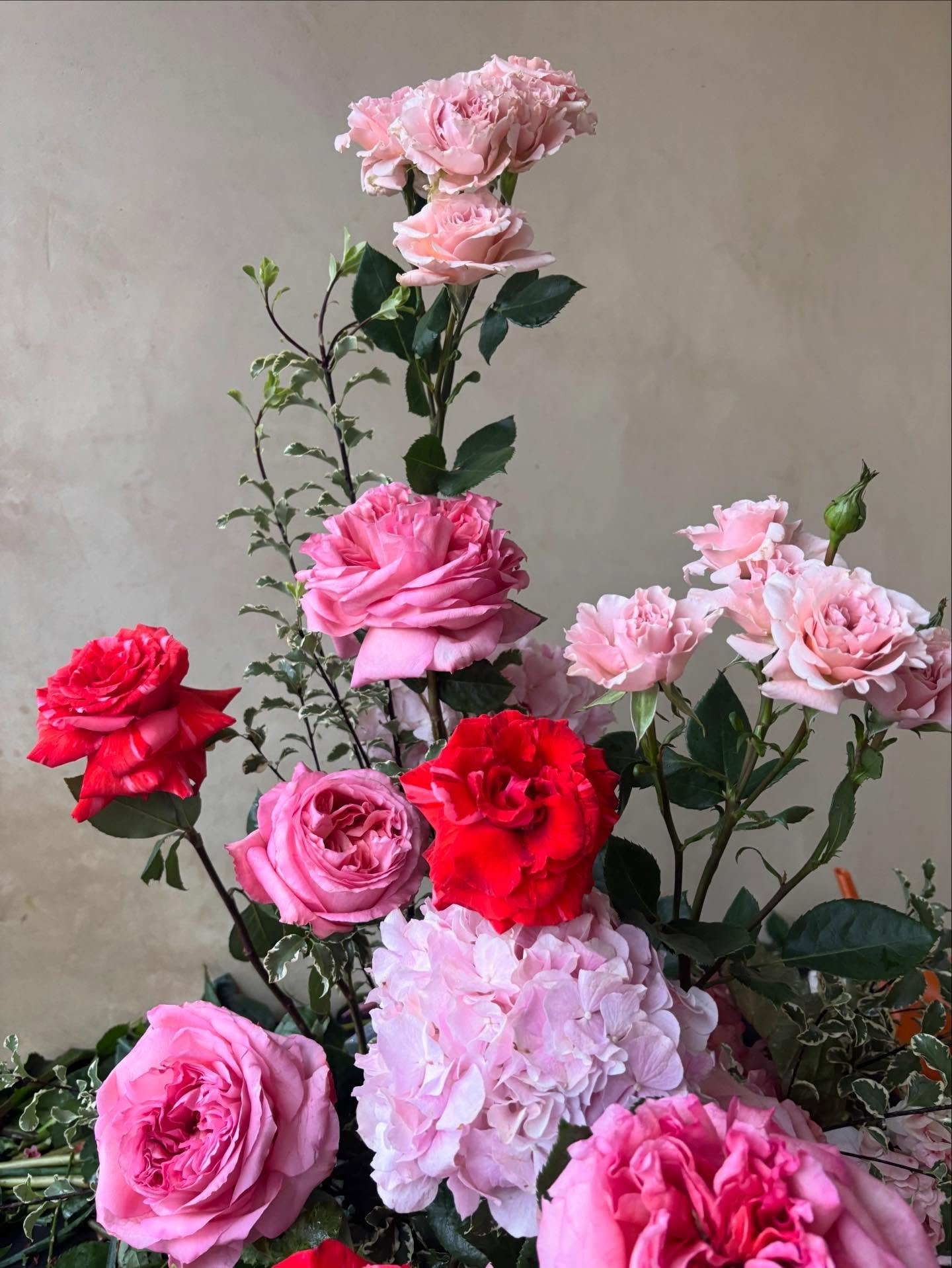 Rose stacks + Lana Del Rey