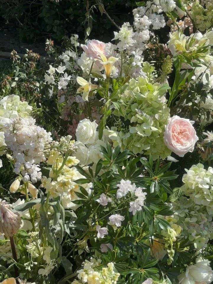 Happy earth day, lovers! Here is a perfect springscape for the occasion.... the bees were having a time. 🐝