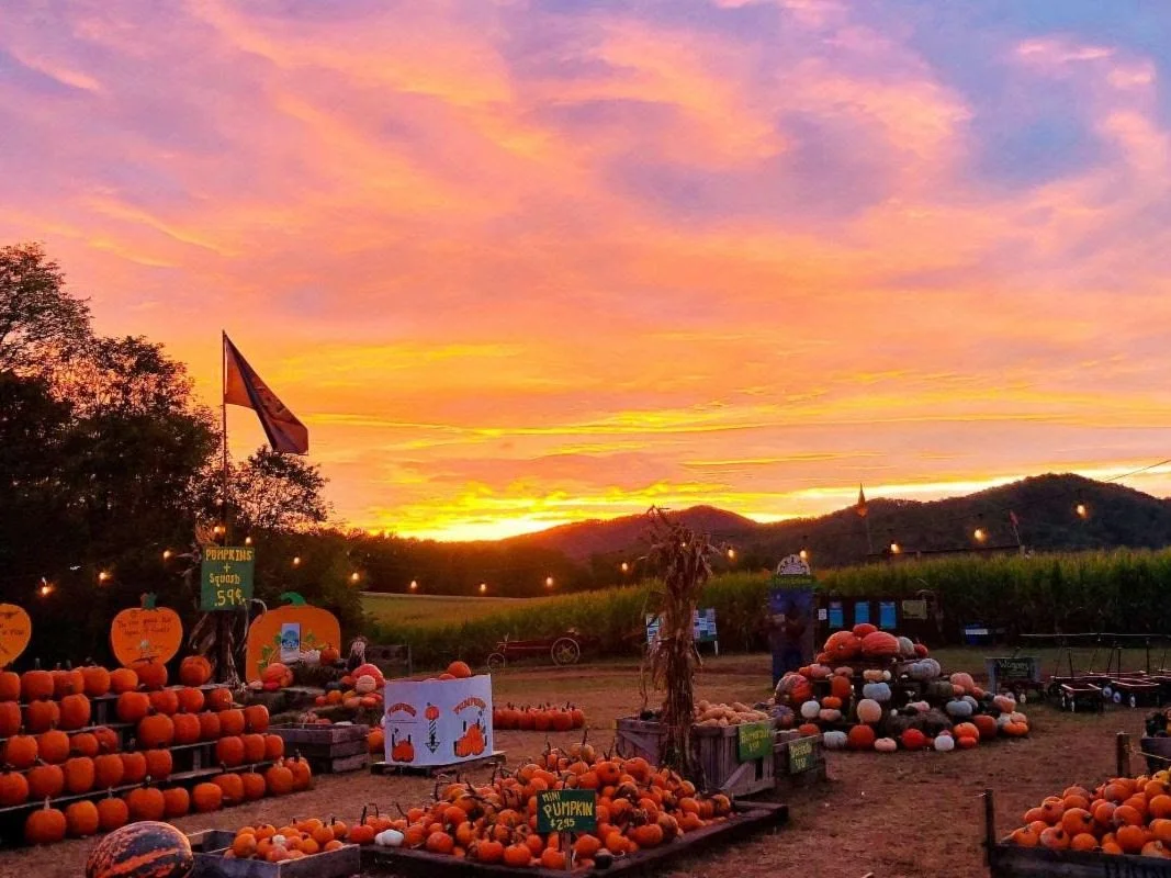 Blue Ridge Mountain Maze Meetup