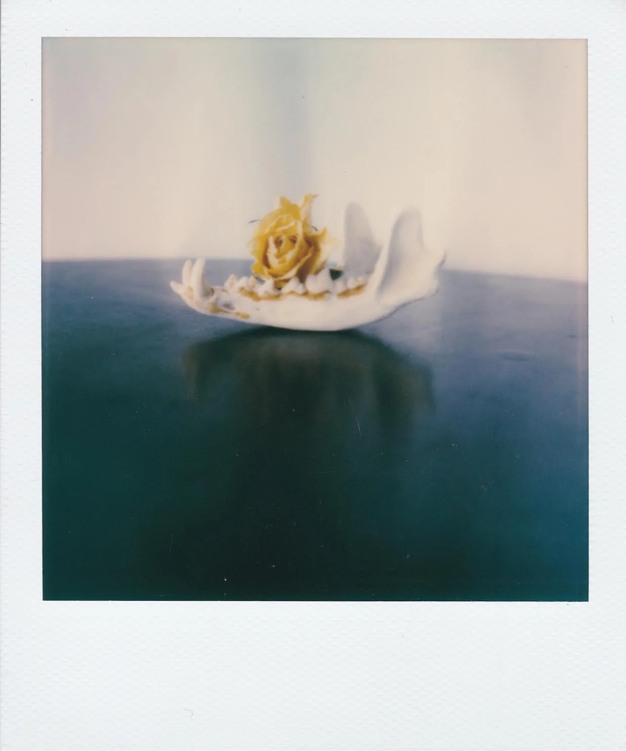 decay 2 by corinne engstrom.jpeg