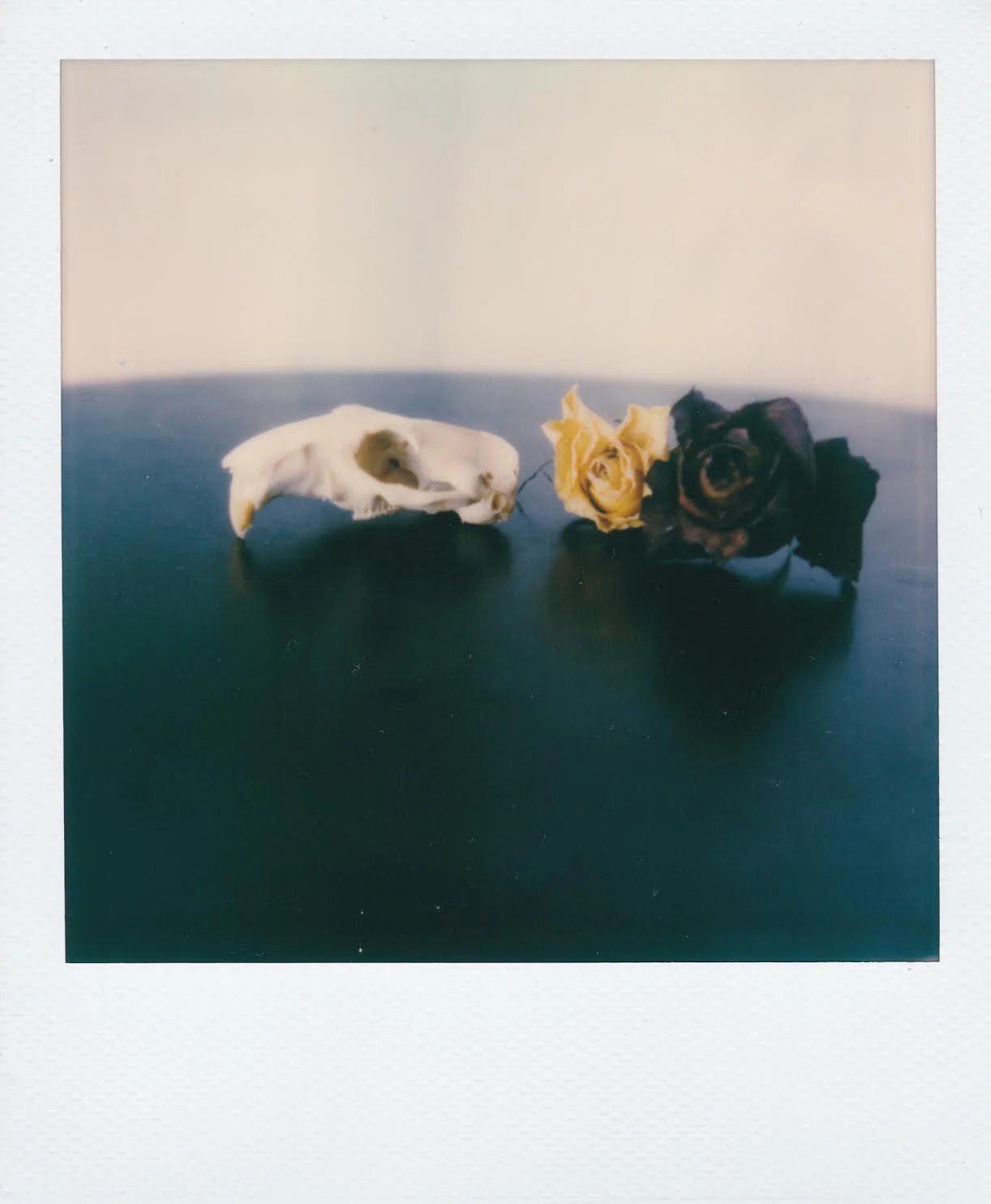 decay 4 corinne engstrom.jpeg