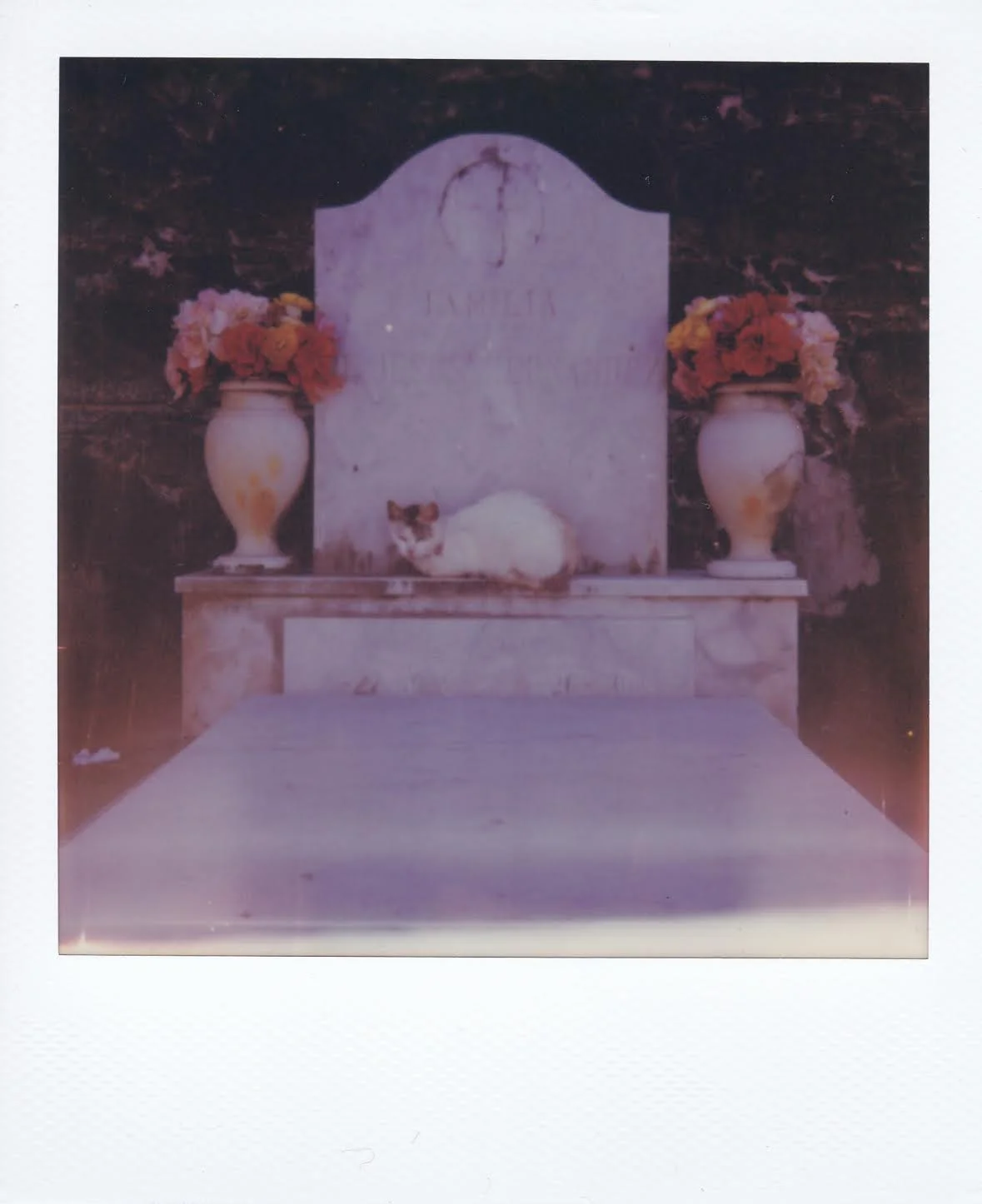PR cemetary 1 by corinne engstrom.jpg