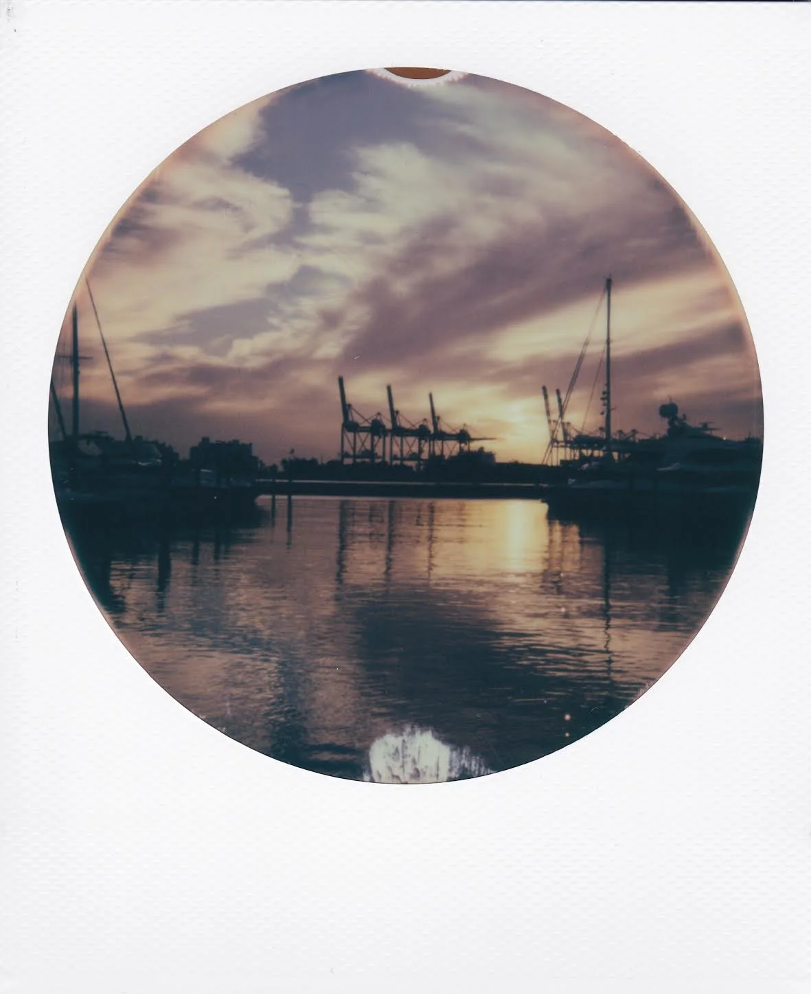miami scene 2 by corinne engstrom.jpg