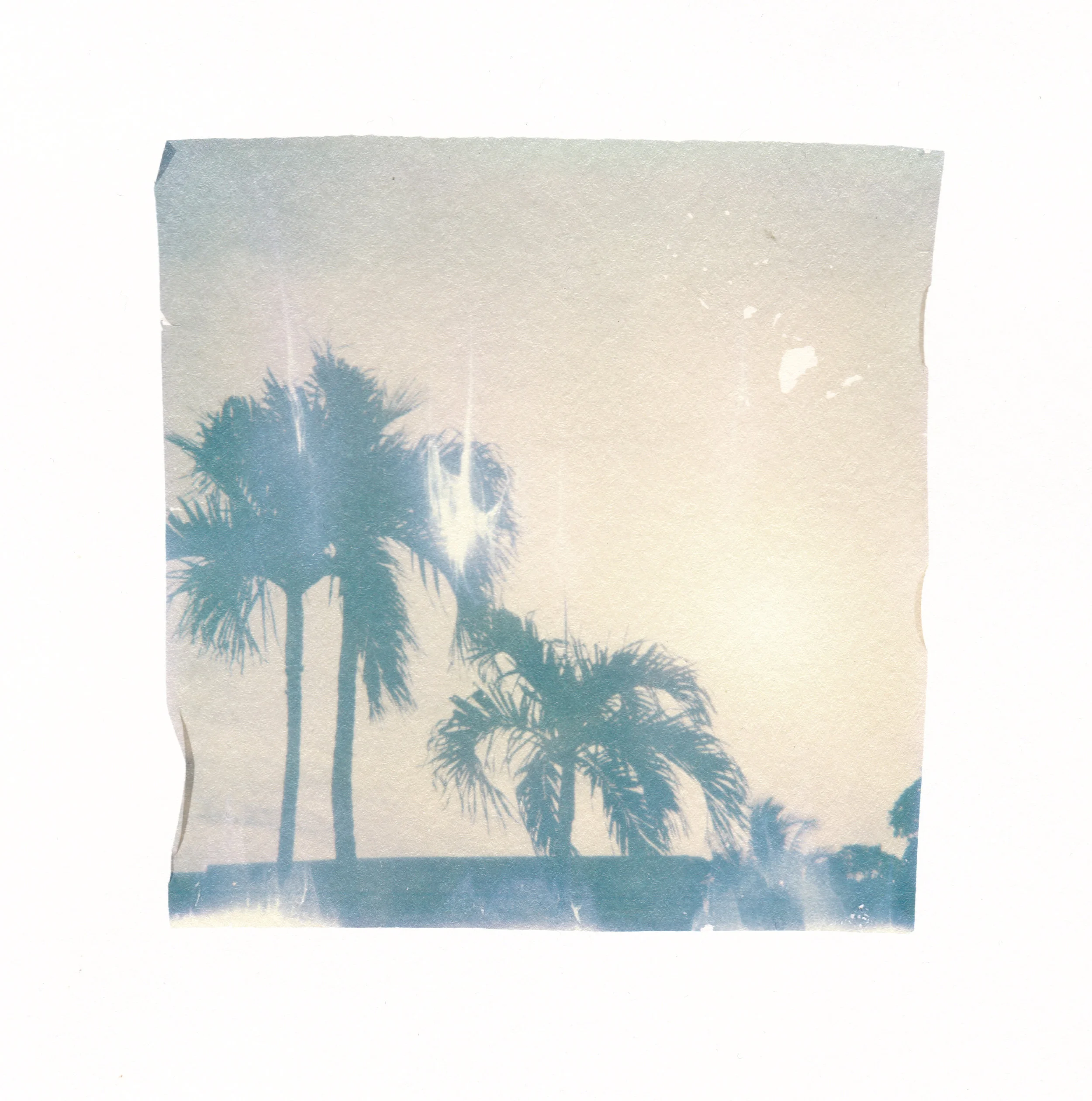 emulsion lift 1 by corinne engstrom.jpg