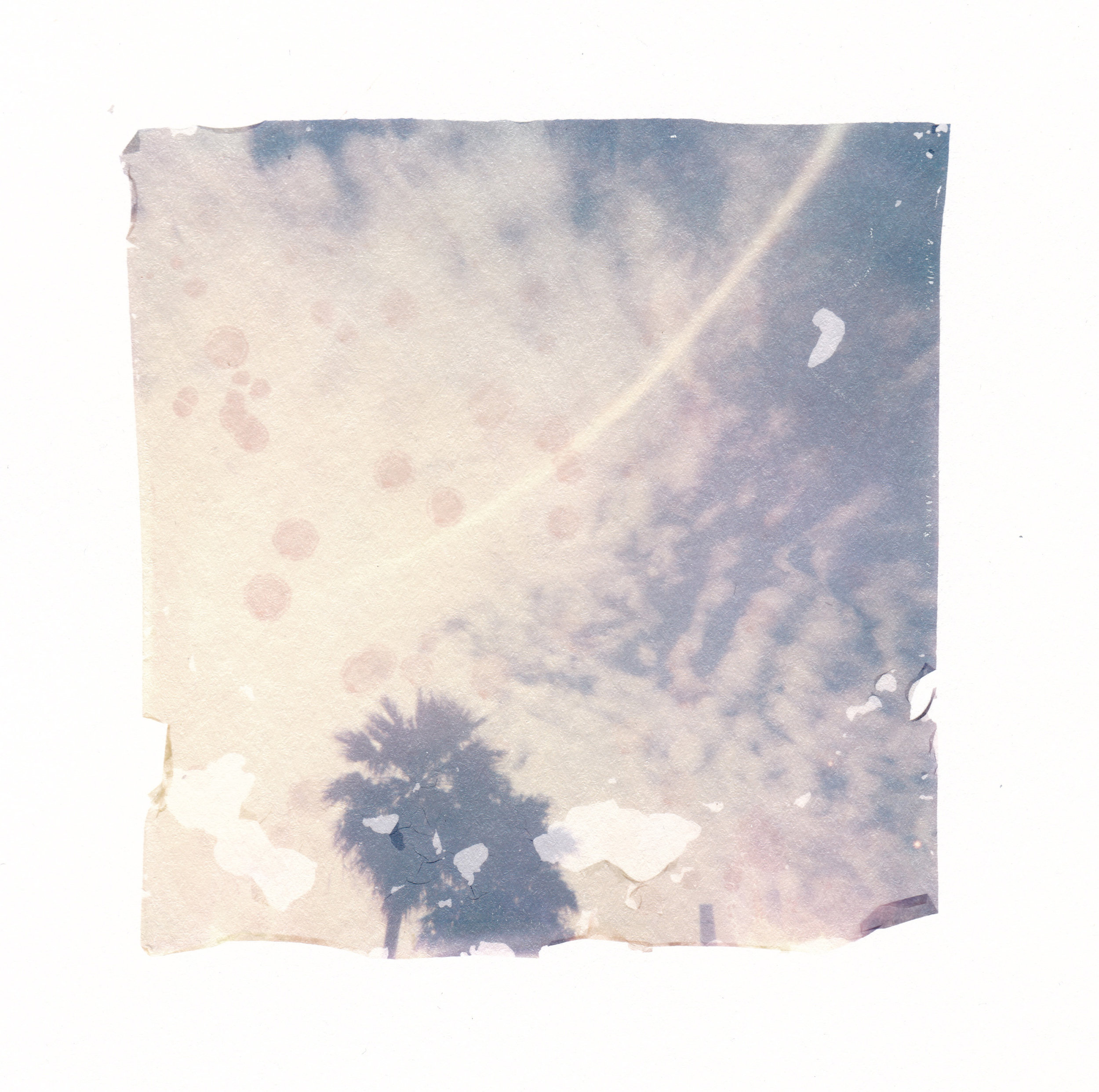 emulsion lift 2 by corinne engstrom.jpg