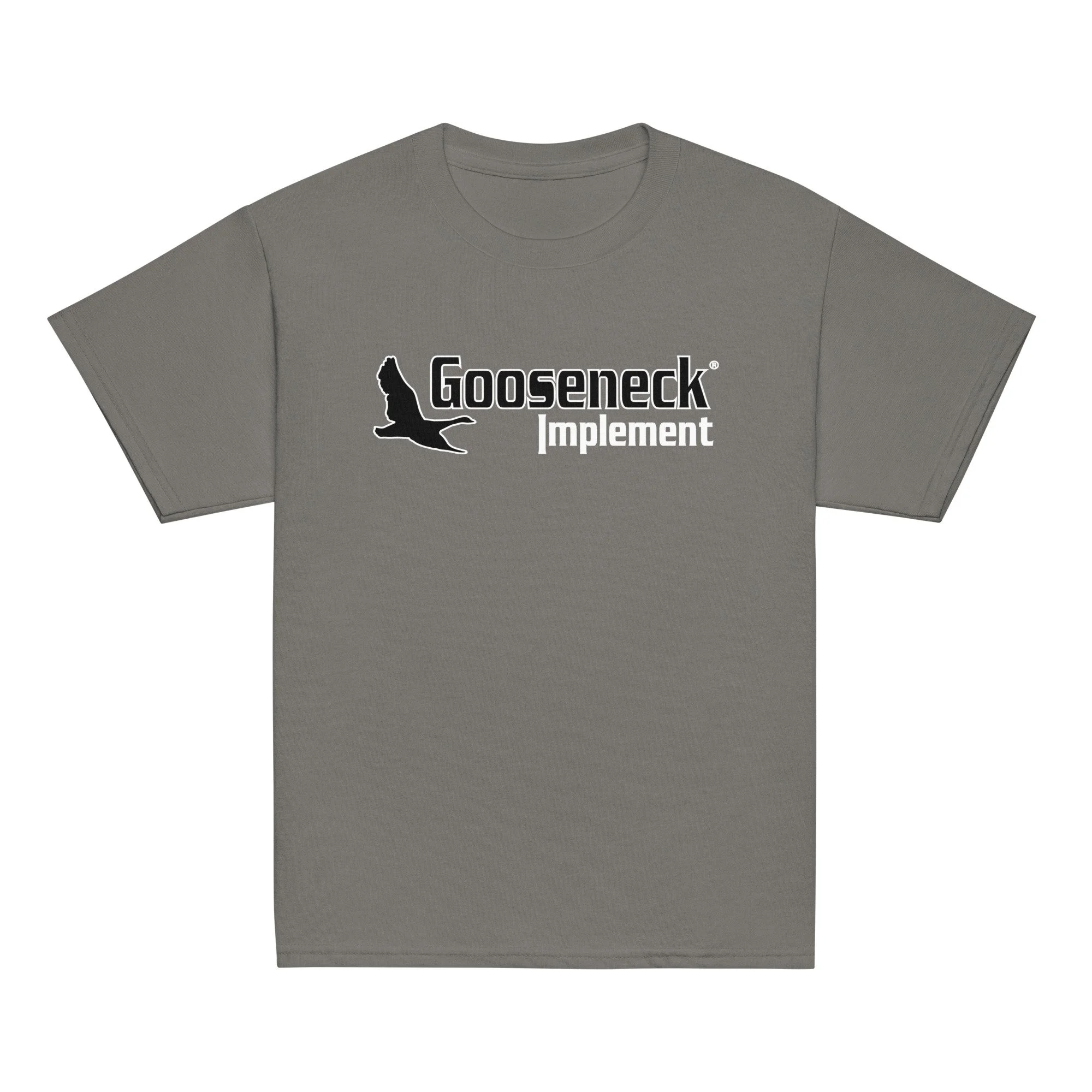 youth-classic-tee-charcoal-front-69e7df80185c7.jpg