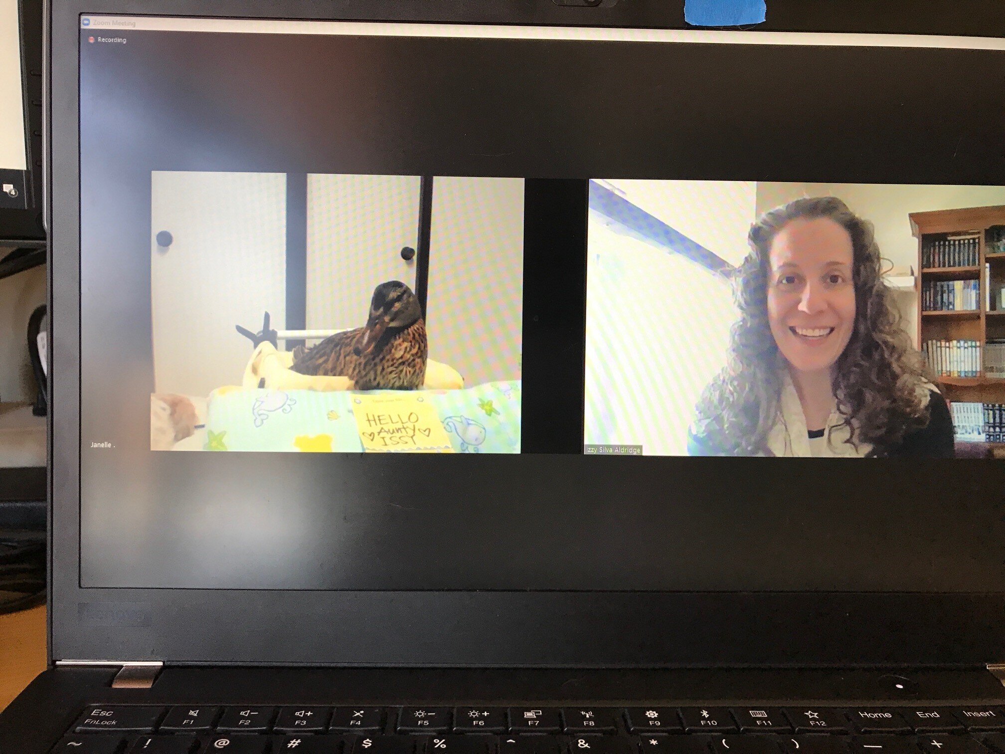 Emotion Code session with a duck!