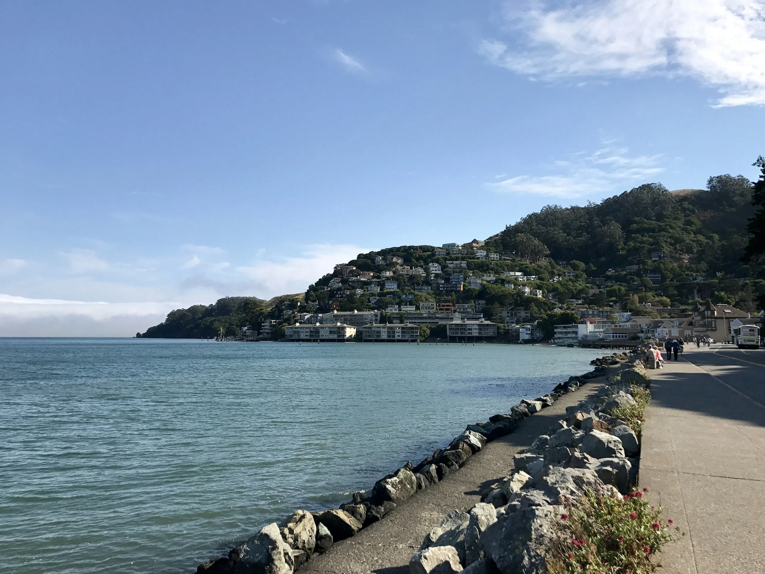 Sausalito Marin City Sanitary District. A district-administered PSL program overseeing inspections and compliance across the consolidated Sausalito sewer shed.