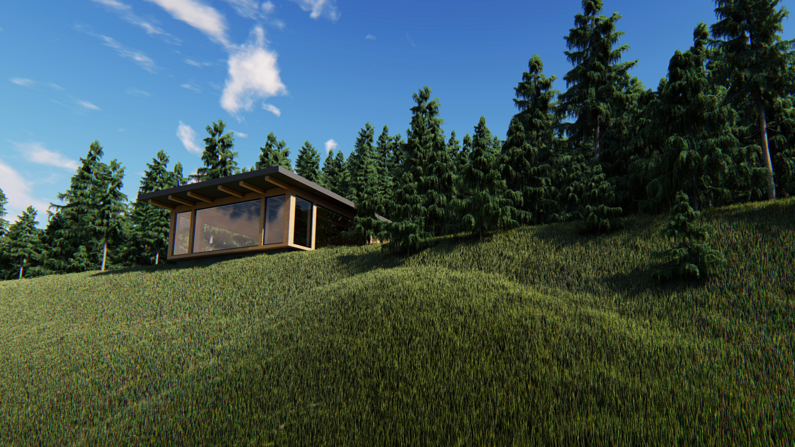 The House Upon the Hill
