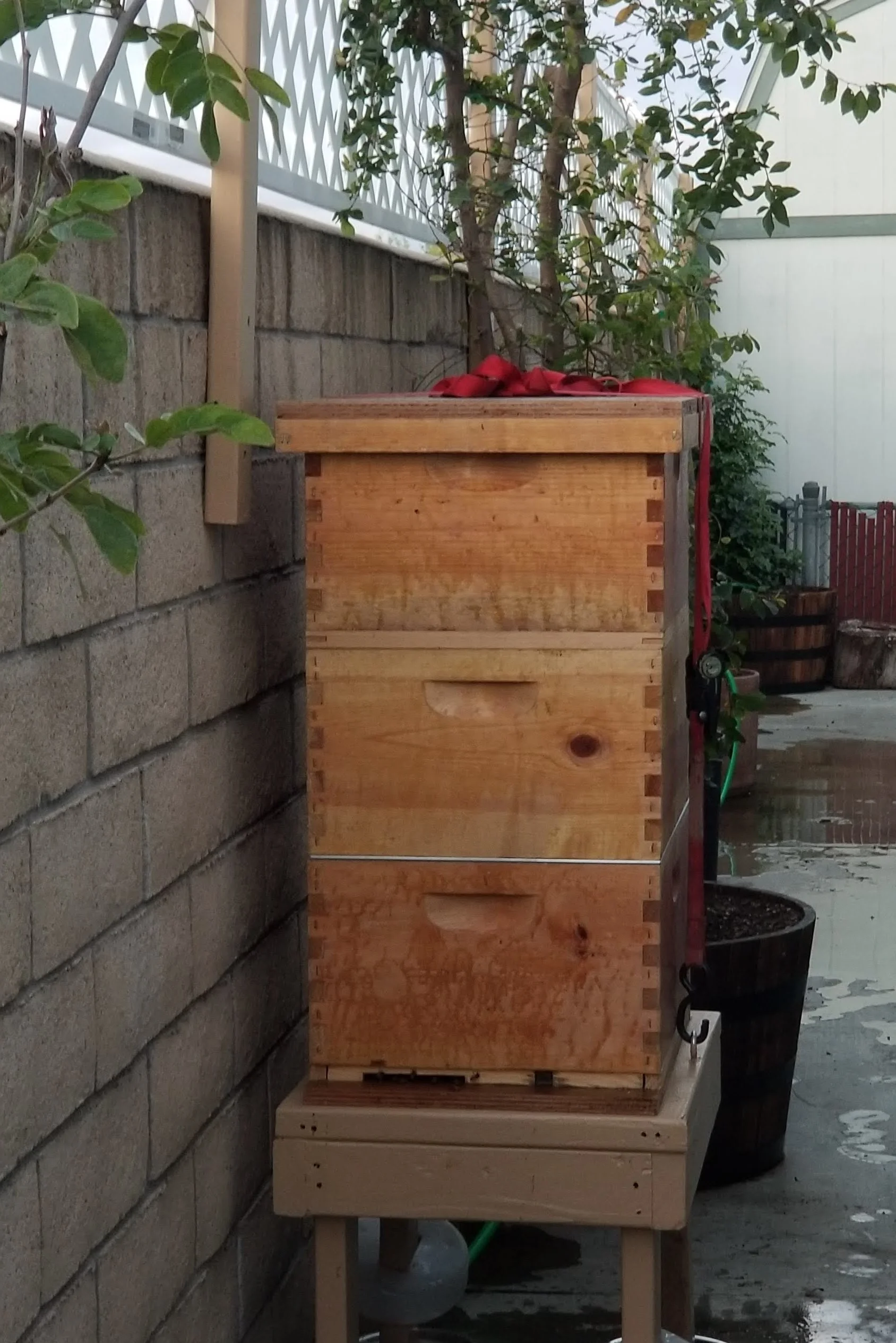 DANLangstrothhive.jpg