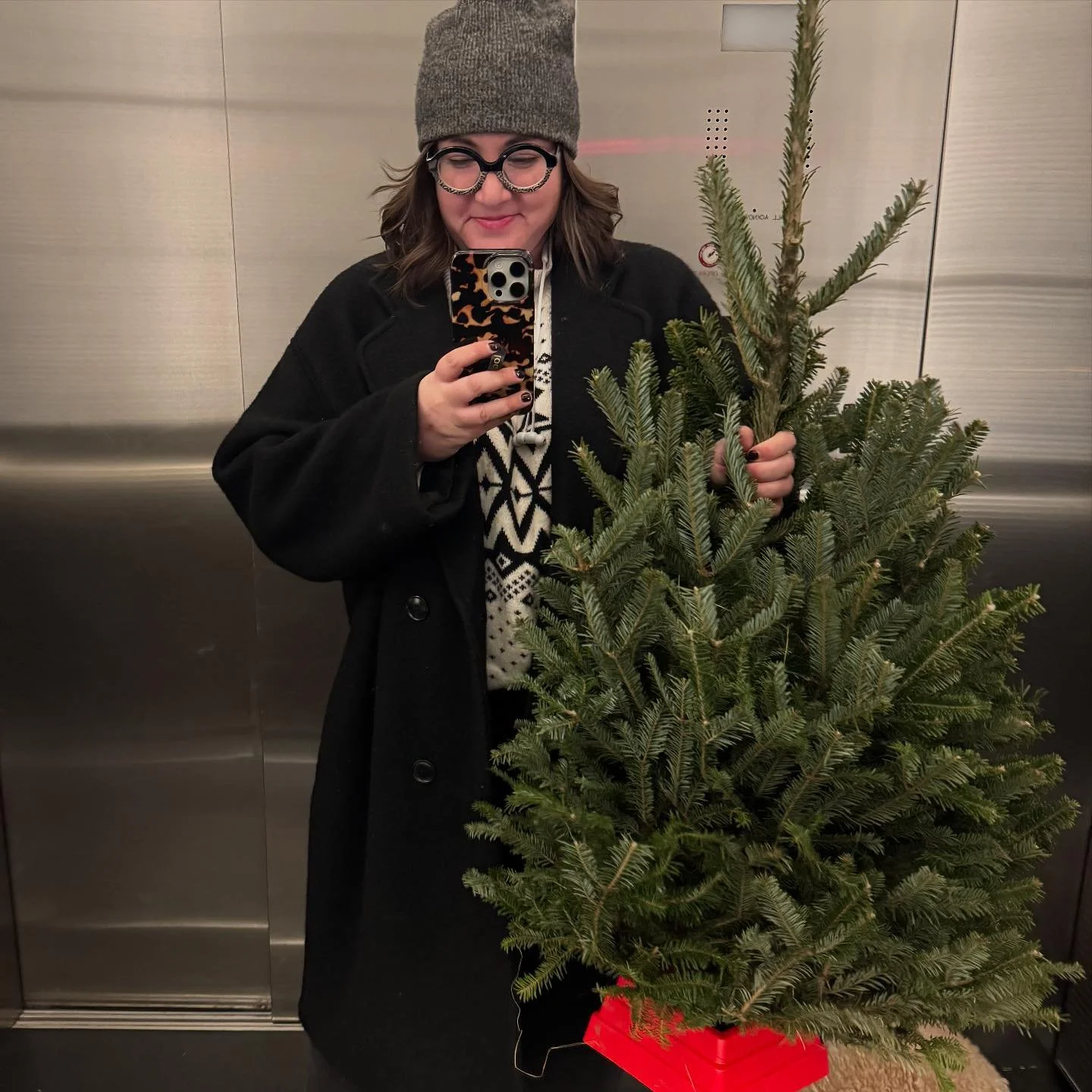 Spot the dog 🐕 🎄