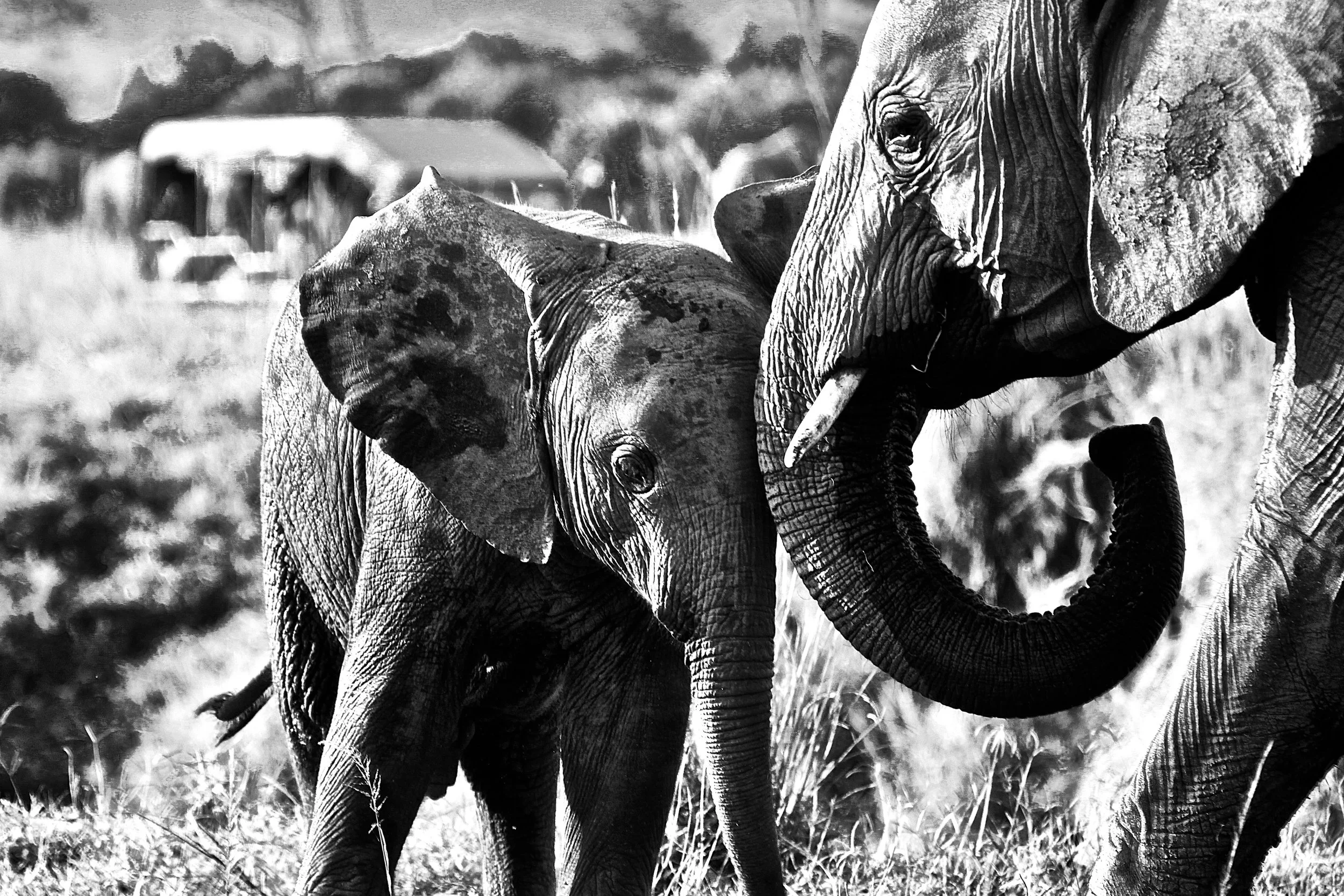 Mother's tender love