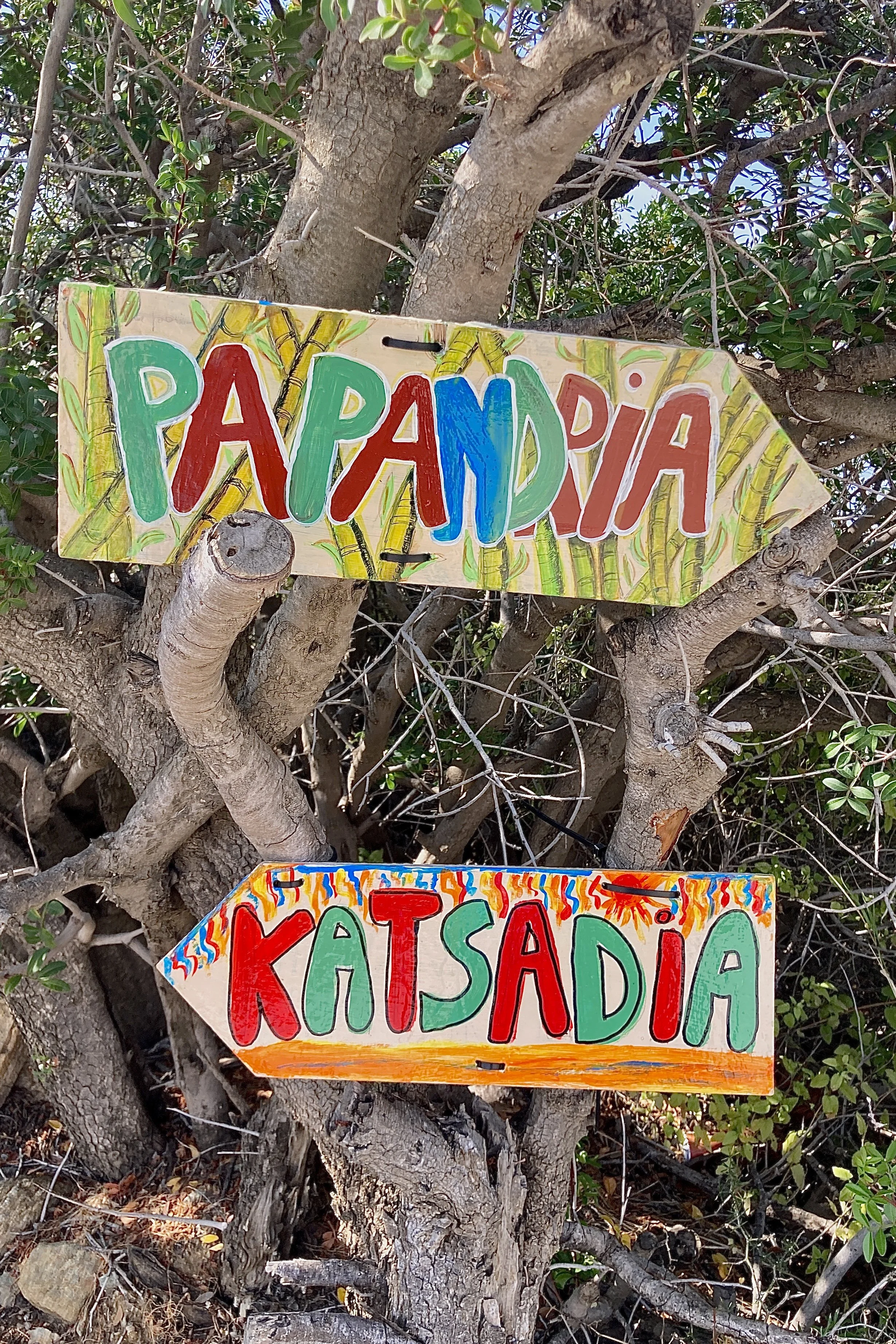 Paths in Full Colour.JPG