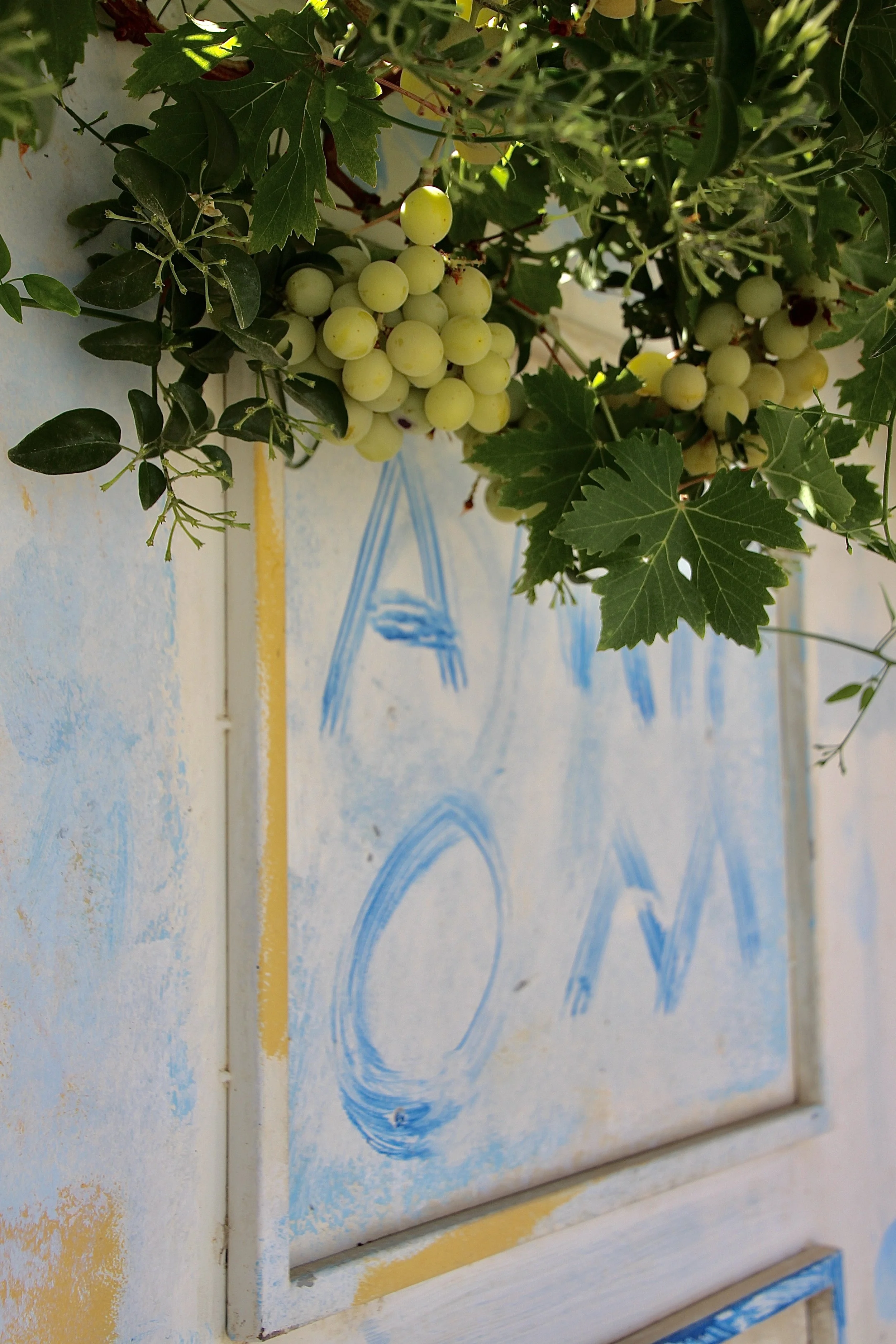 The Vinekeeper’s Door.JPG