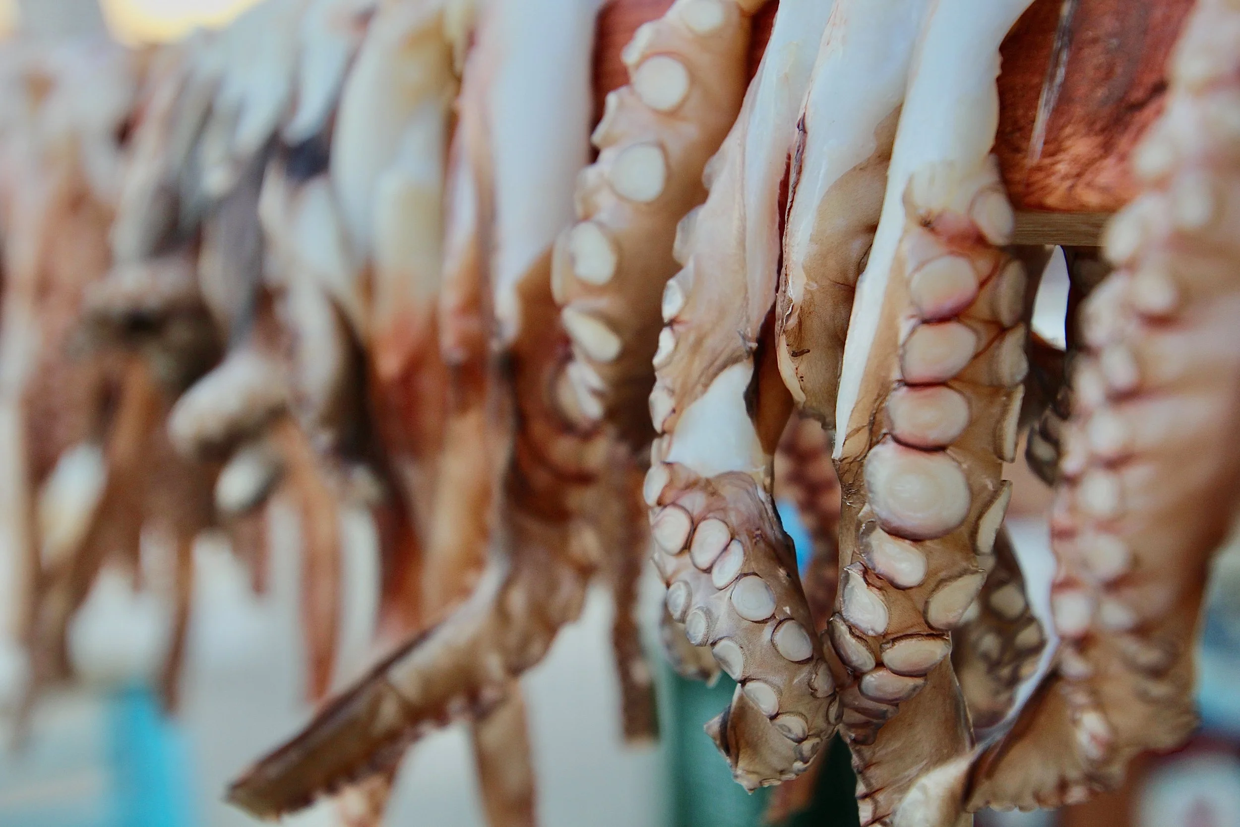 Whispers from the Deep.JPG